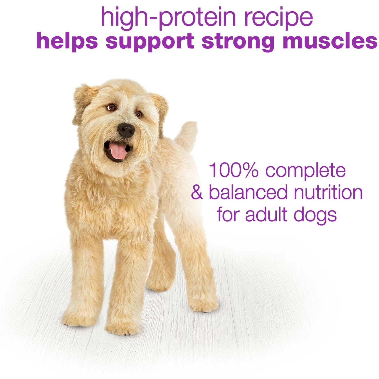 Purina Beneful Chopped Blends With Turkey, Sweet Potatoes, Brown Rice & Spinach Wet Dog Food - Image 8