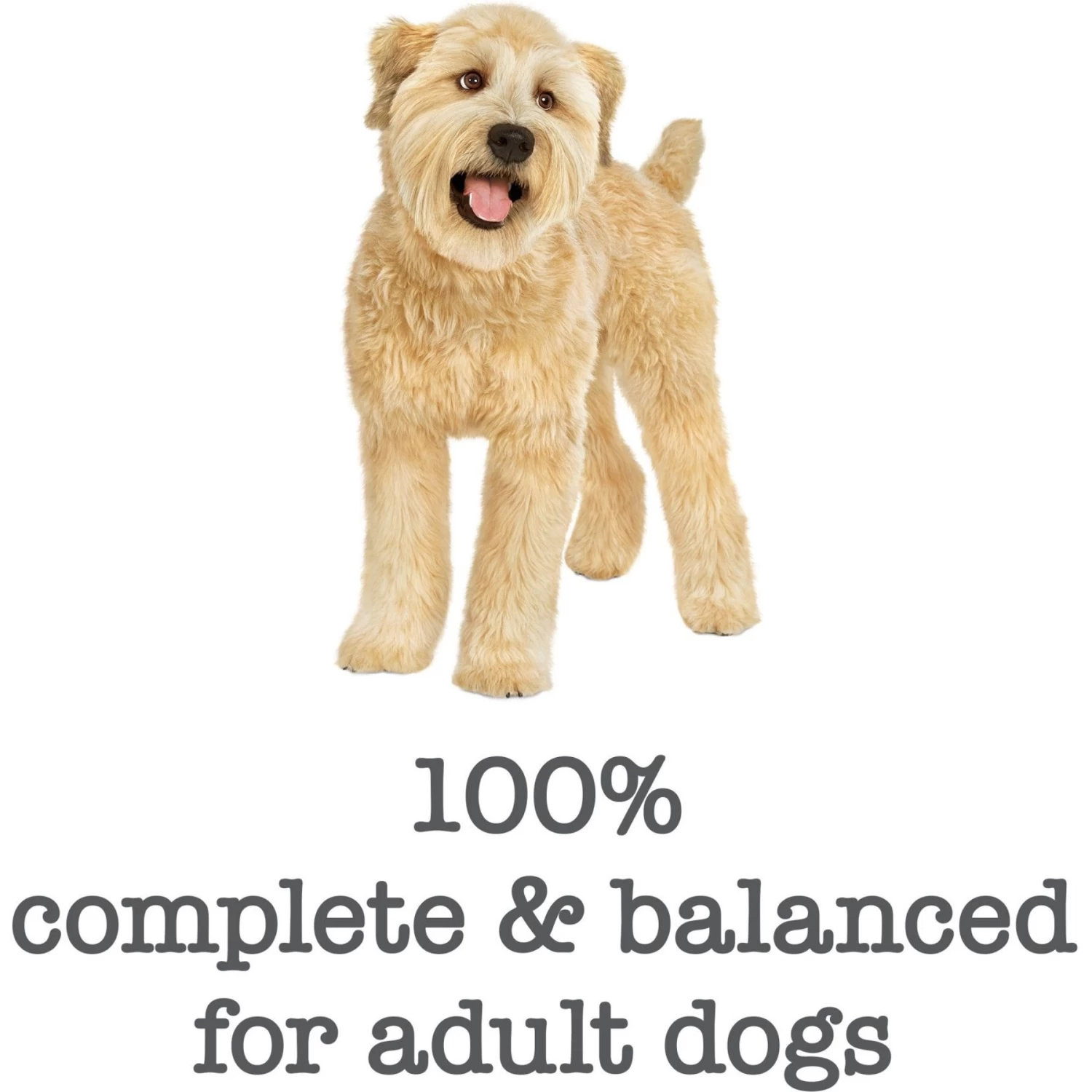 Purina Beneful Medleys Romana Style Canned Dog Food - Image 7