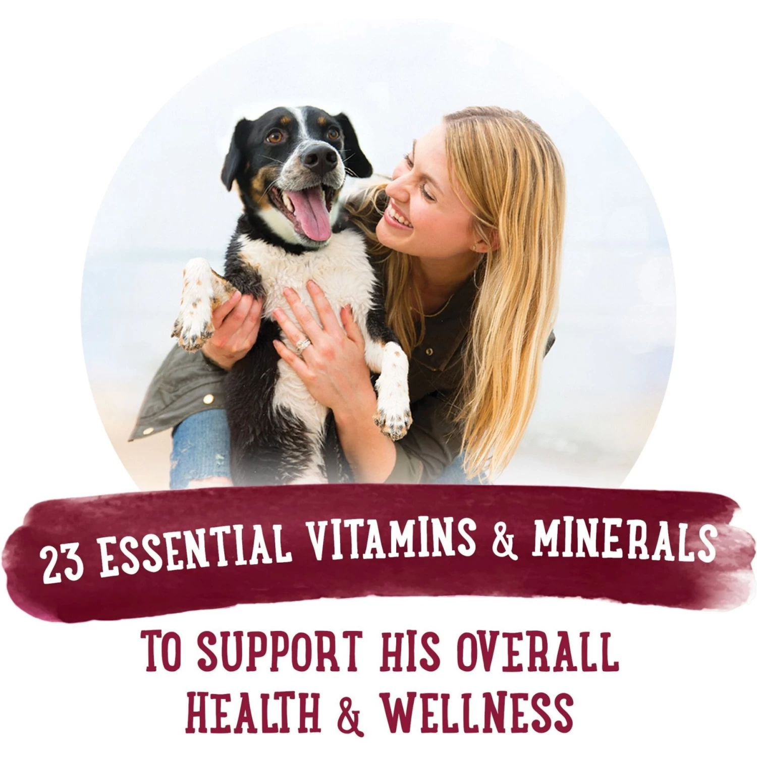 Purina Beneful Prepared Meals Beef Stew With Peas, Carrots, Rice & Barley Wet Dog Food - Image 8