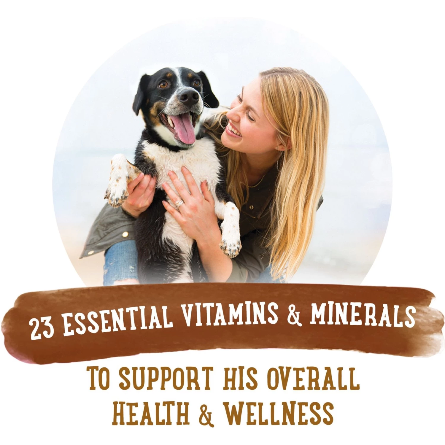 Purina Beneful Prepared Meals Roasted Chicken Recipe With Brown Rice, Carrots & Spinach Wet Dog Food - Image 8