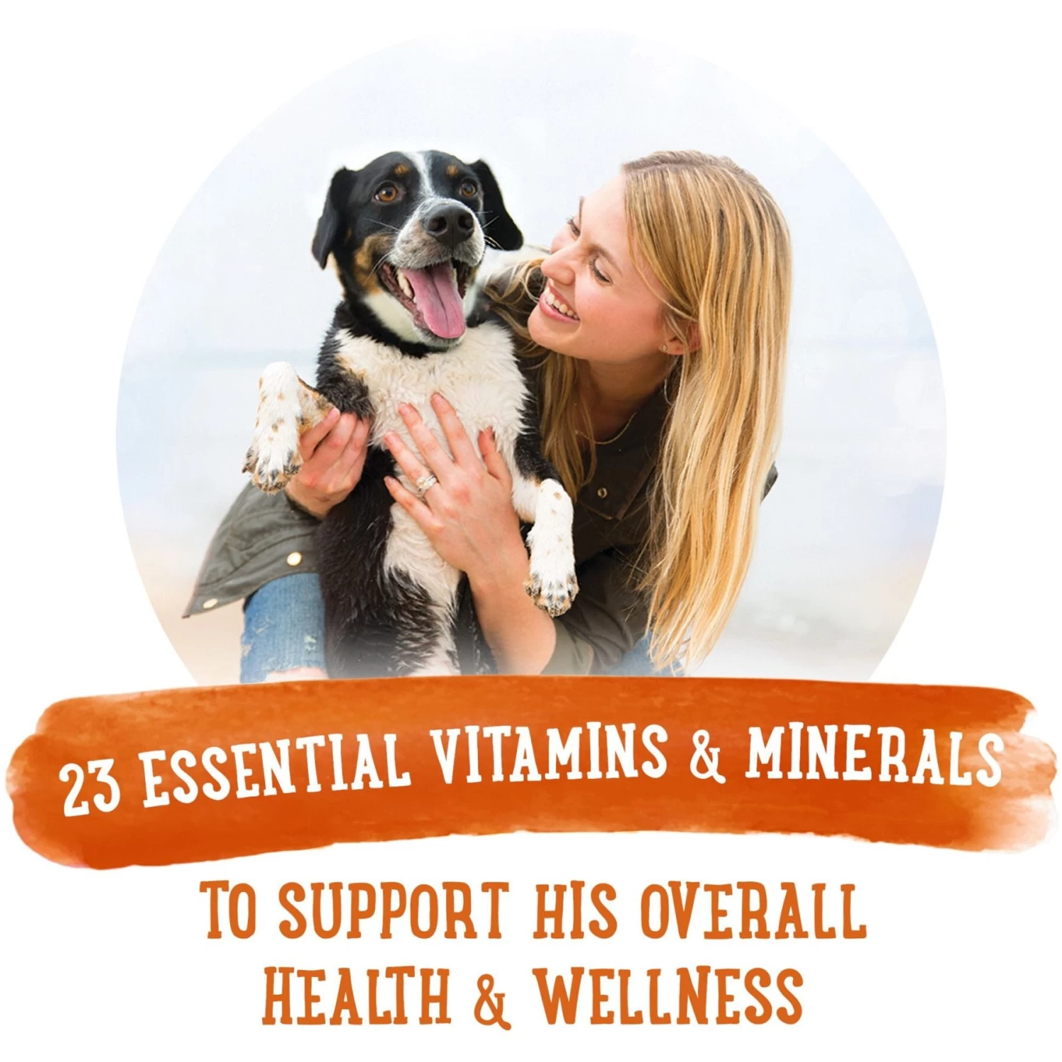 Purina Beneful Prepared Meals Simmered Chicken Medley With Green Beans, Carrots & Wild Rice Wet Dog Food - Image 8