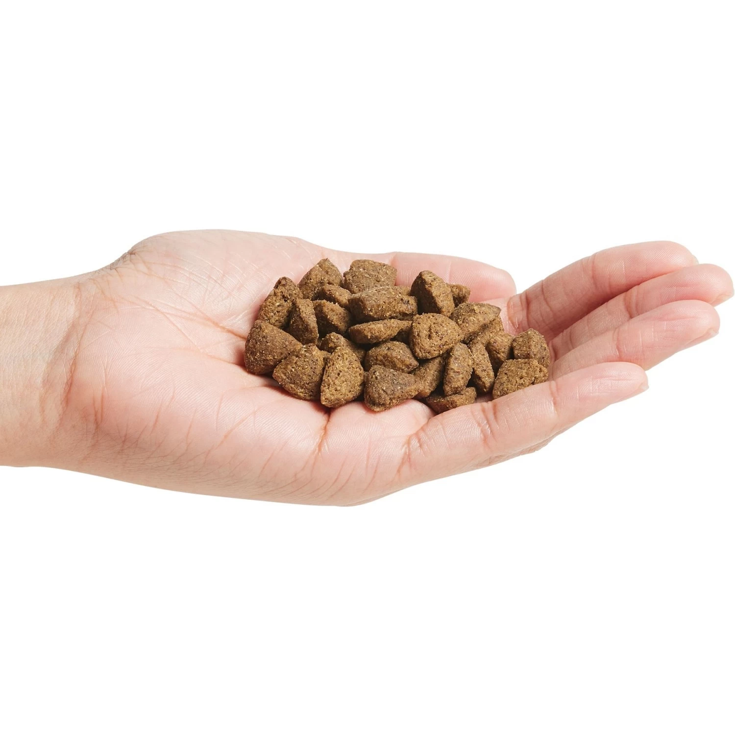 Purina Pro Plan Adult Sensitive Skin & Stomach Salmon & Rice Formula Dry Dog Food - Image 3