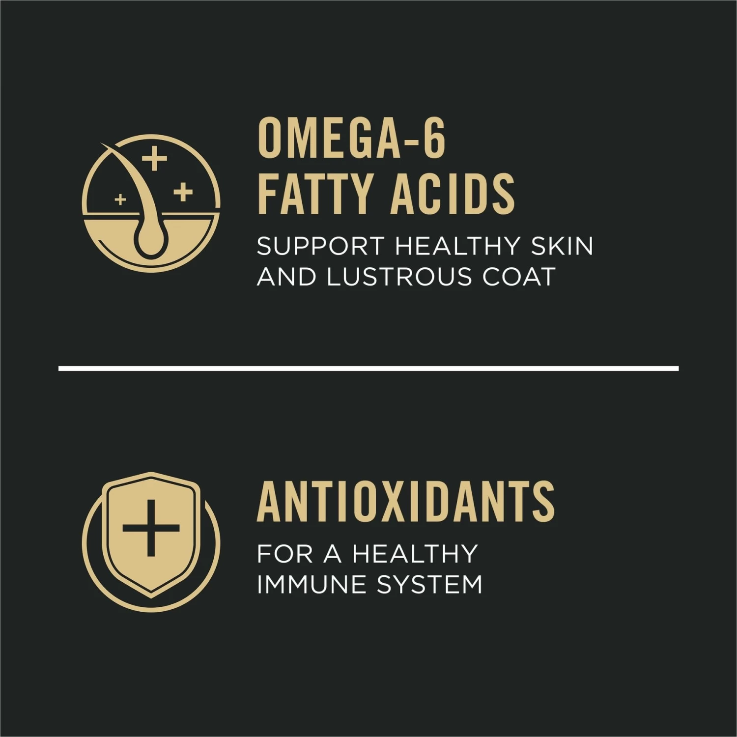 Purina Pro Plan Adult Sensitive Skin & Stomach Salmon & Rice Formula Dry Dog Food - Image 4