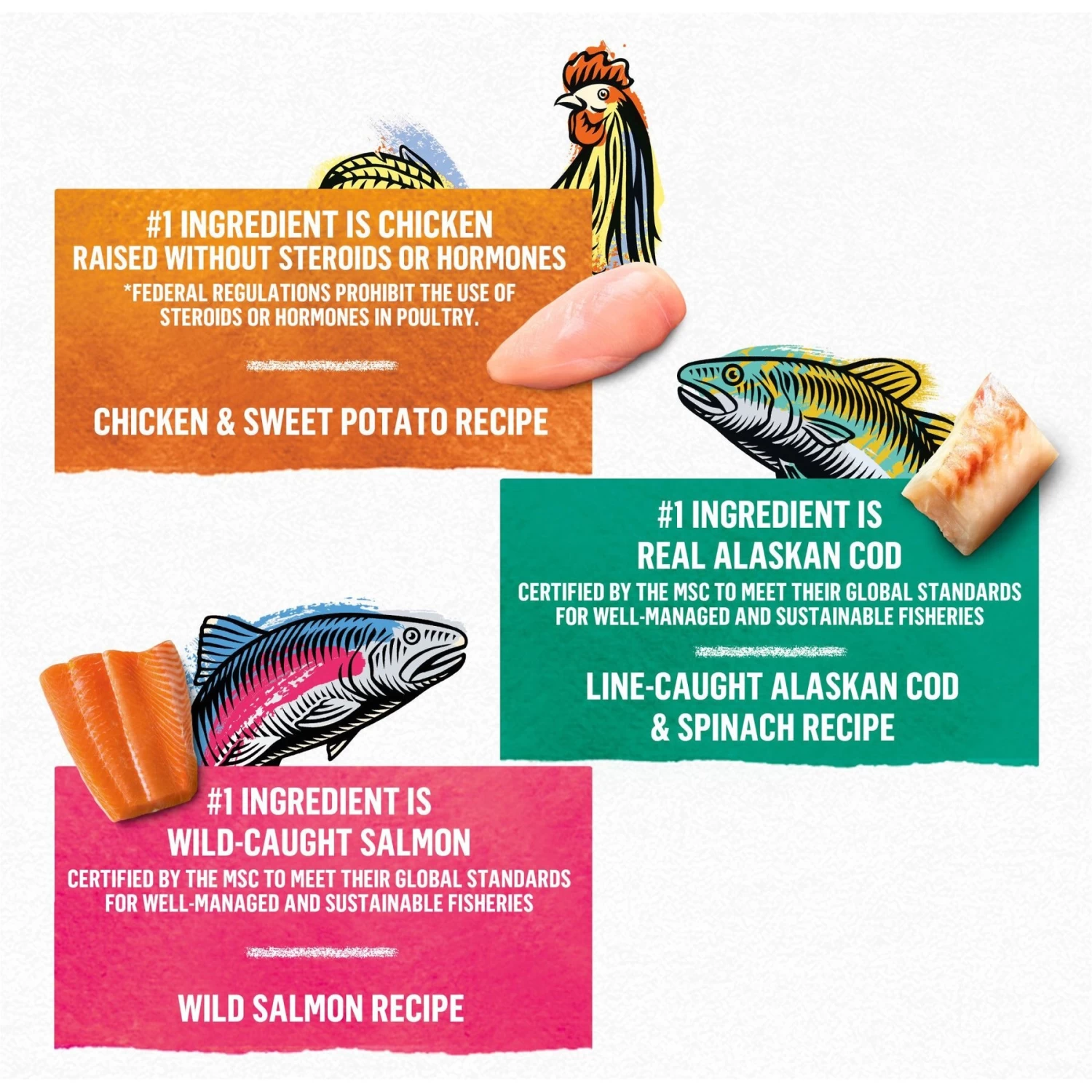 Purina Beyond Grain-Free Pate 3 Flavors Variety Pack Canned Cat Food - Image 3