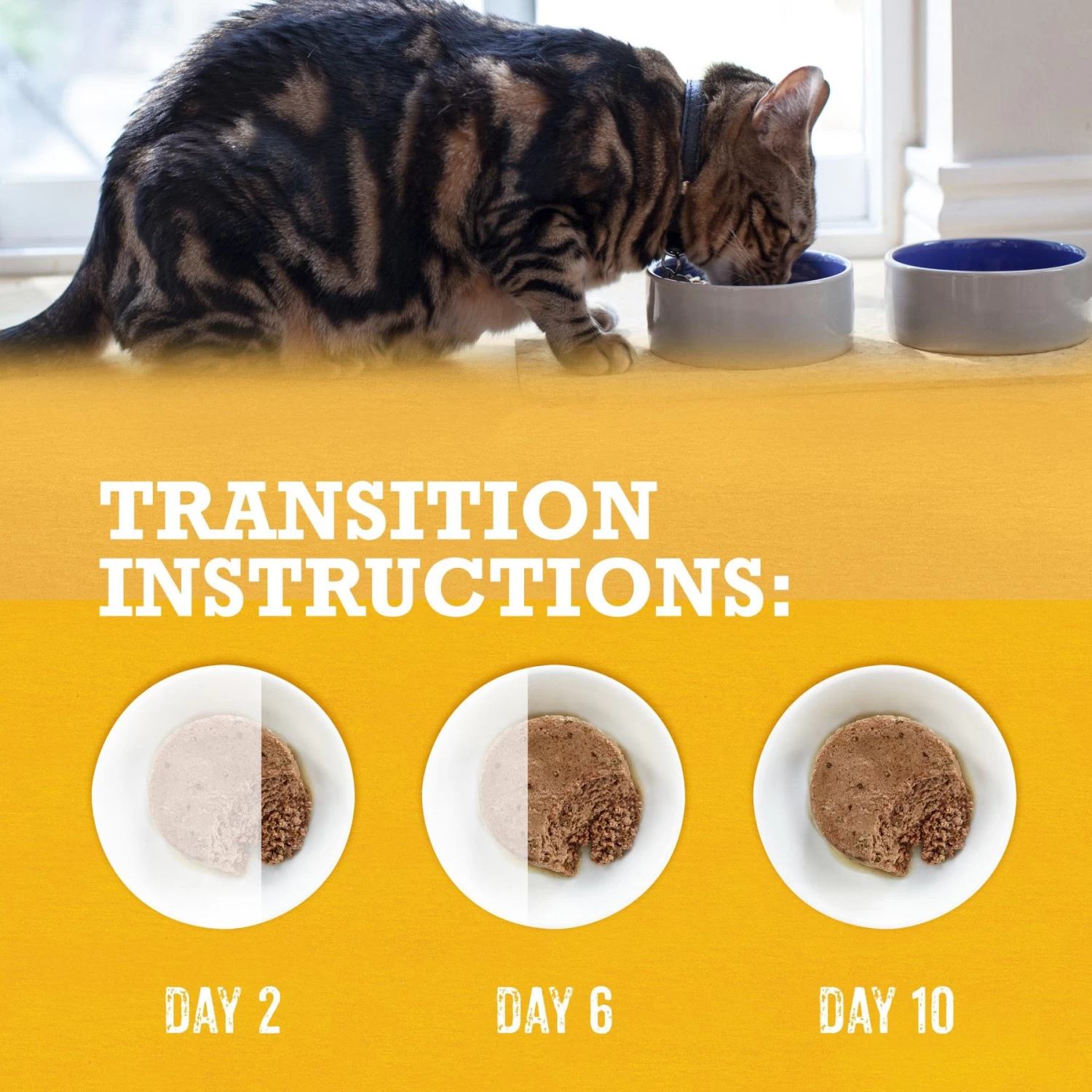 Purina Beyond Grain-Free Pate 3 Flavors Variety Pack Canned Cat Food - Image 8