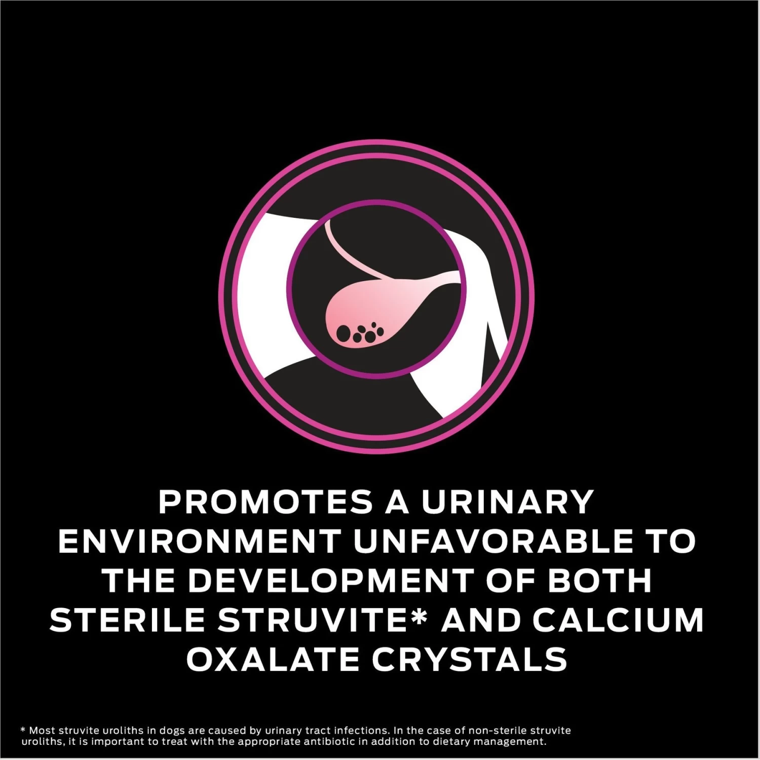 Purina Pro Plan Veterinary Diets UR Urinary Ox/St Dry Dog Food - Image 4