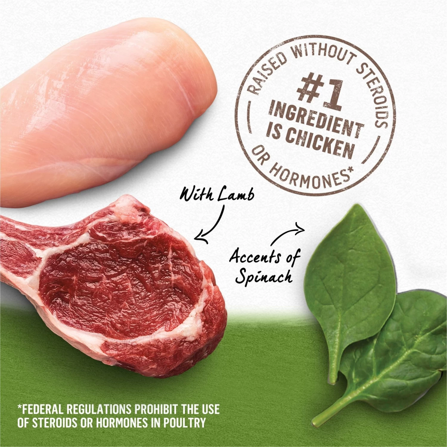 Purina Beyond Grain-Free Chicken, Lamb & Spinach Recipe Ground Entree Canned Dog Food - Image 4