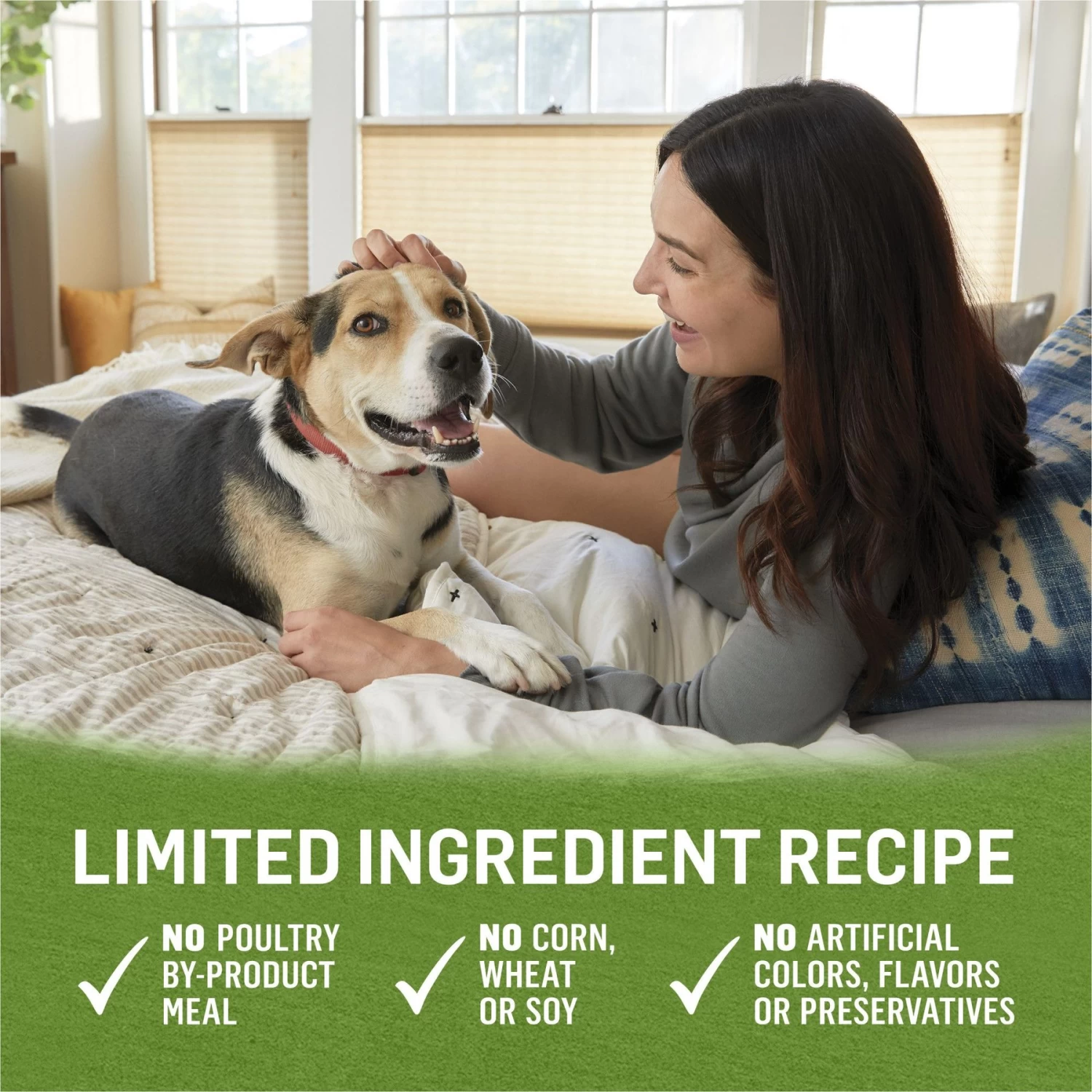 Purina Beyond Grain-Free Chicken, Lamb & Spinach Recipe Ground Entree Canned Dog Food - Image 6