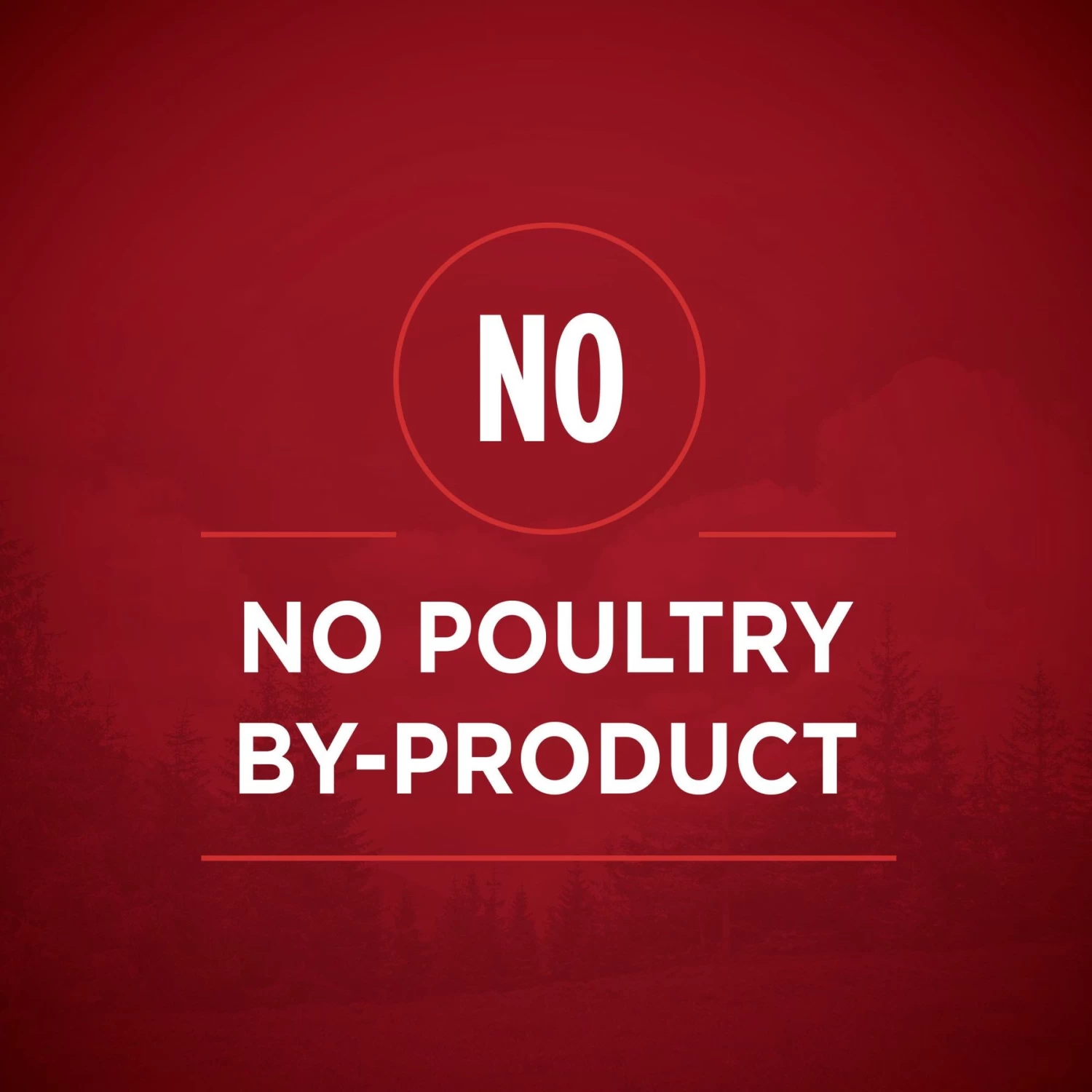 Purina ONE SmartBlend True Instinct Tender Cuts In Gravy Variety Pack Canned Dog Food - Image 4