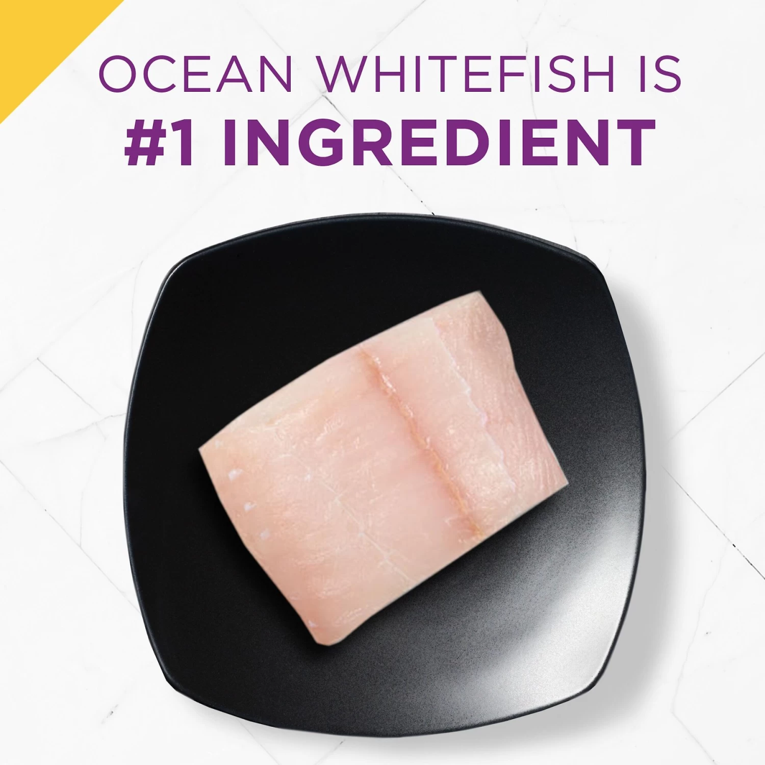 Purina Pro Plan Prime Plus Adult 7+ Ocean Whitefish & Salmon Entree Classic Canned Cat Food - Image 5