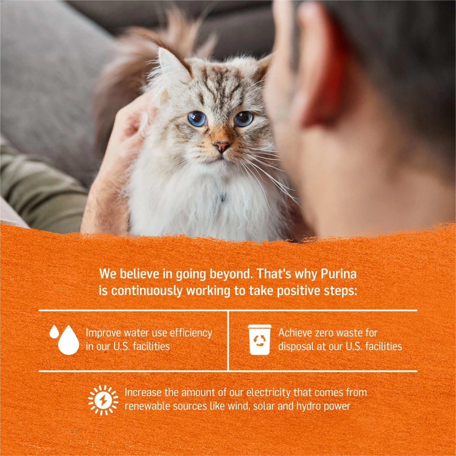 Purina Beyond Grain-Free Natural Pate Chicken & Sweet Potato Recipe Wet Cat Food - Image 6