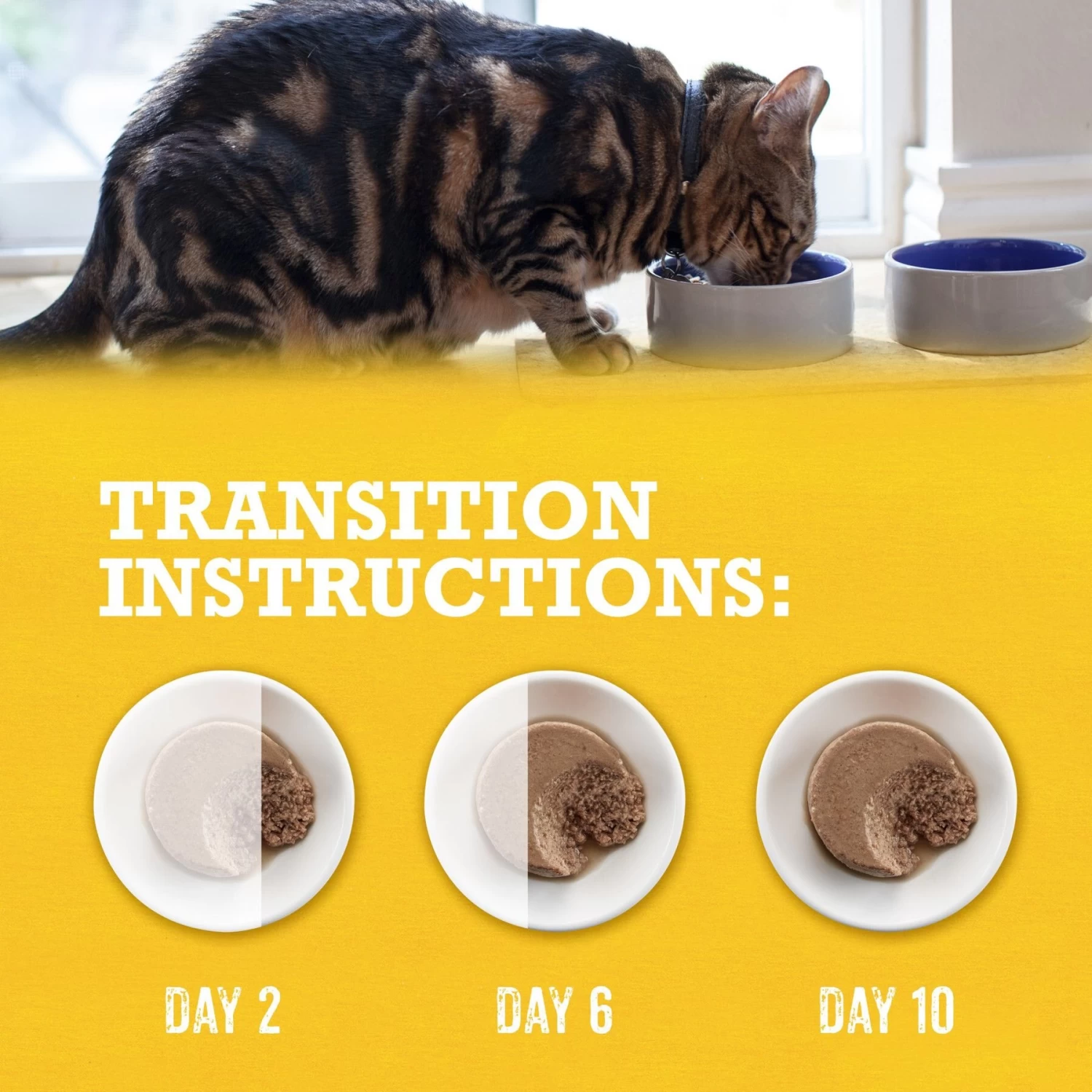 Purina Beyond Grain-Free Natural Pate Chicken & Sweet Potato Recipe Wet Cat Food - Image 9