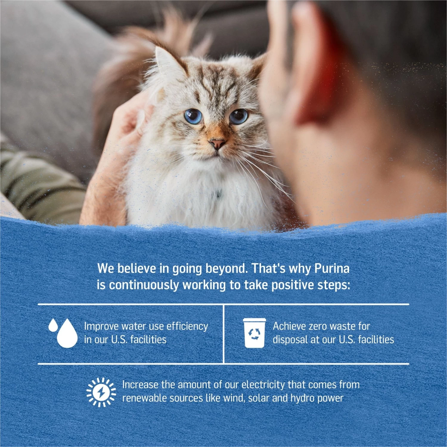 Purina Beyond Natural Wild-Caught Tuna, Cod & Carrots Recipe In Gravy Canned Cat Food - Image 6