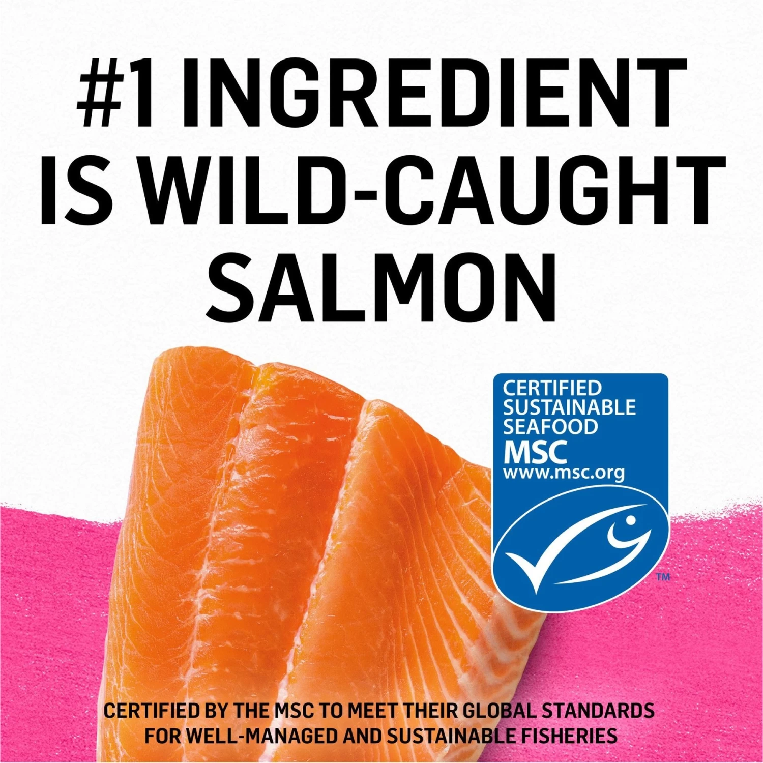 Purina Beyond Grain-Free Wild Salmon Pate Recipe Canned Cat Food - Image 4