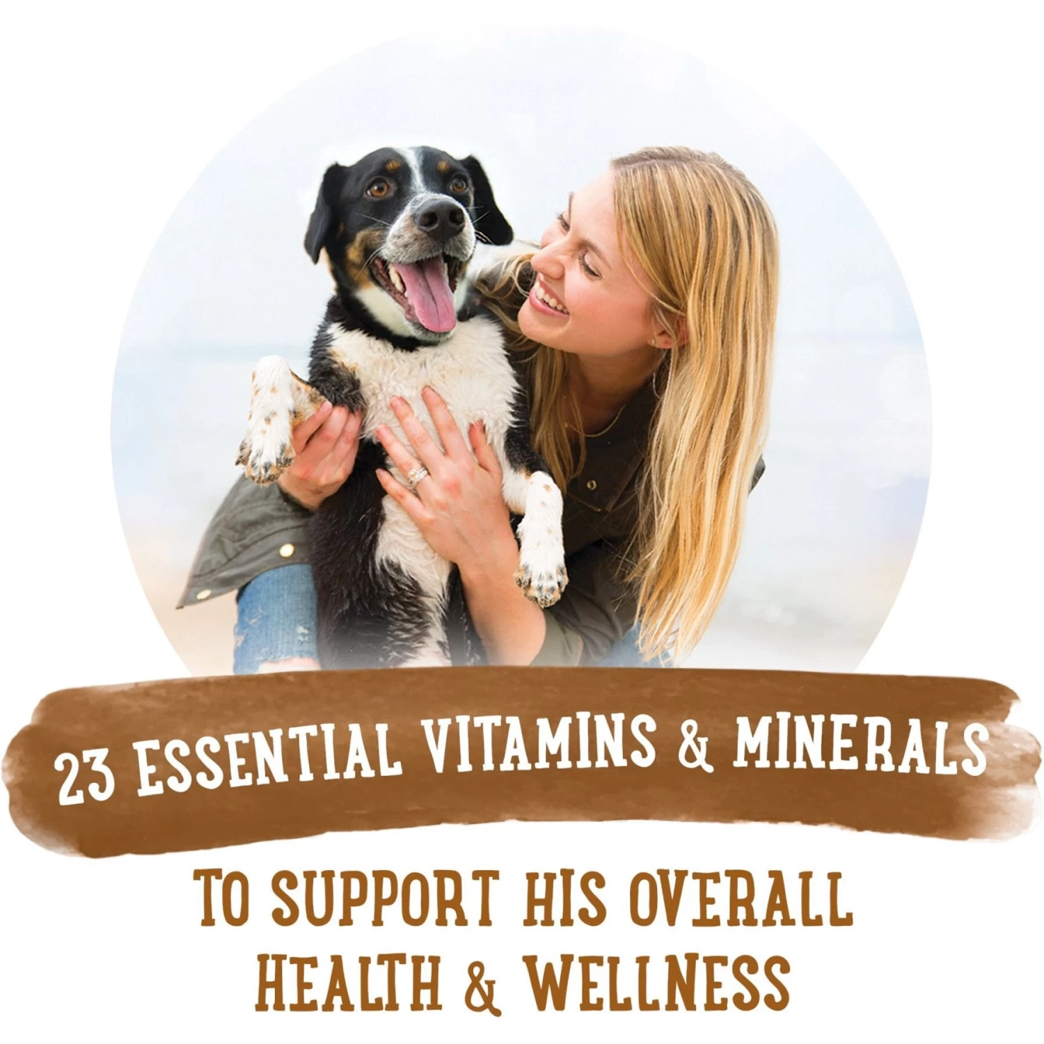 Purina Beneful Prepared Meals Variety Pack Wet Dog Food - Image 8