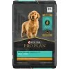 Purina Pro Plan High Protein Puppy, Chicken & Rice Formula - 18 Lb