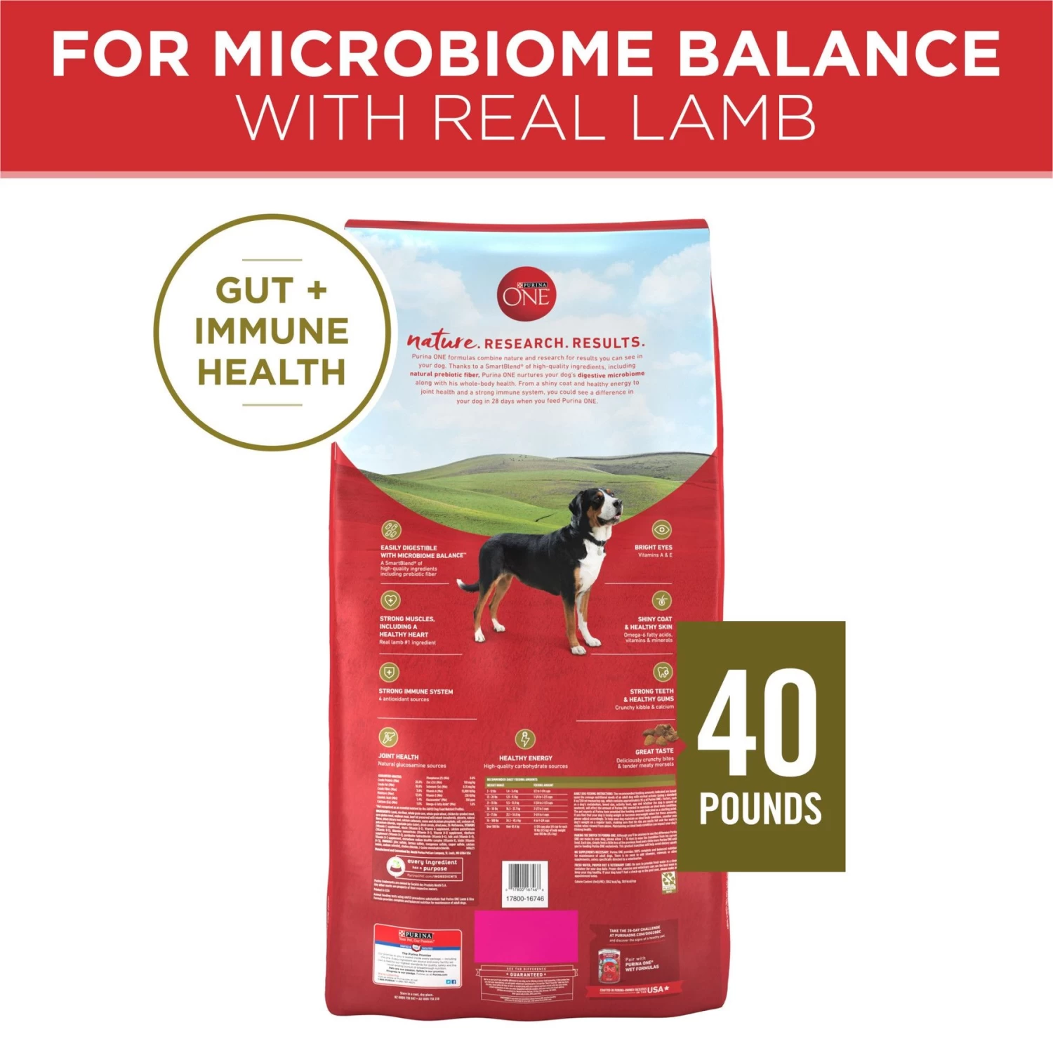 Purina ONE Natural SmartBlend Lamb & Rice Formula Dry Dog Food - Image 2