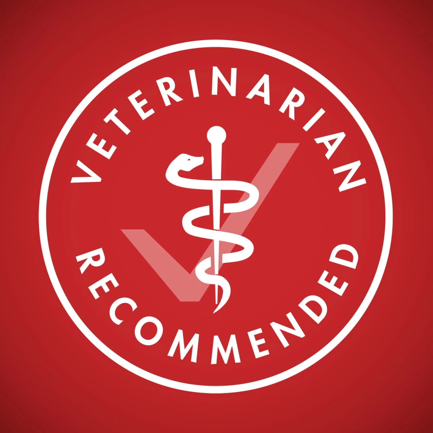 Purina ONE Natural SmartBlend Lamb & Rice Formula Dry Dog Food - Image 7