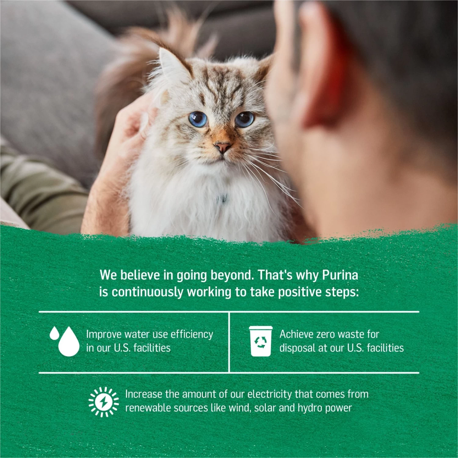 Purina Beyond Duck & Sweet Potato Pate Recipe Grain-Free Canned Cat Food - Image 6