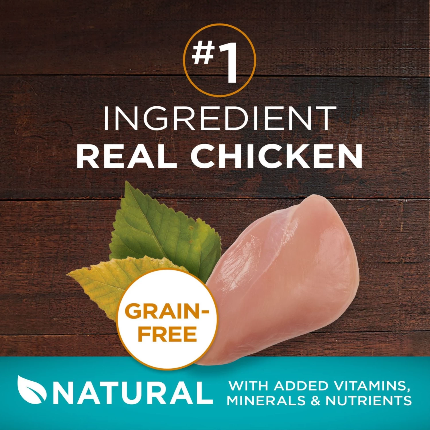 Purina ONE True Instinct Natural Real Chicken Plus Vitamins & Minerals High Protein Grain-Free Dry Cat Food - Image 3