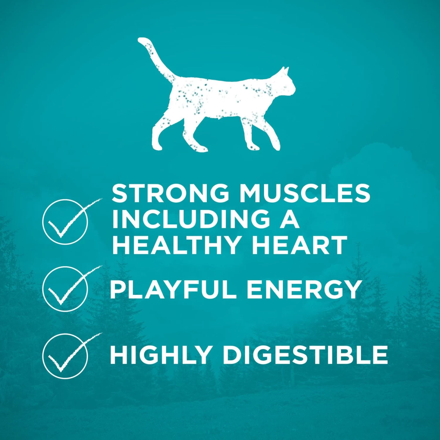 Purina ONE True Instinct Natural Real Chicken Plus Vitamins & Minerals High Protein Grain-Free Dry Cat Food - Image 4