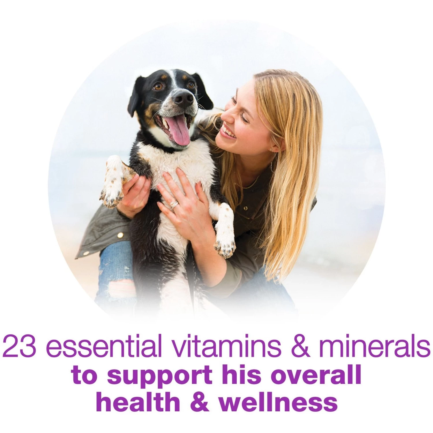 Purina Beneful Chopped Blends Variety Pack Wet Dog Food - Image 7