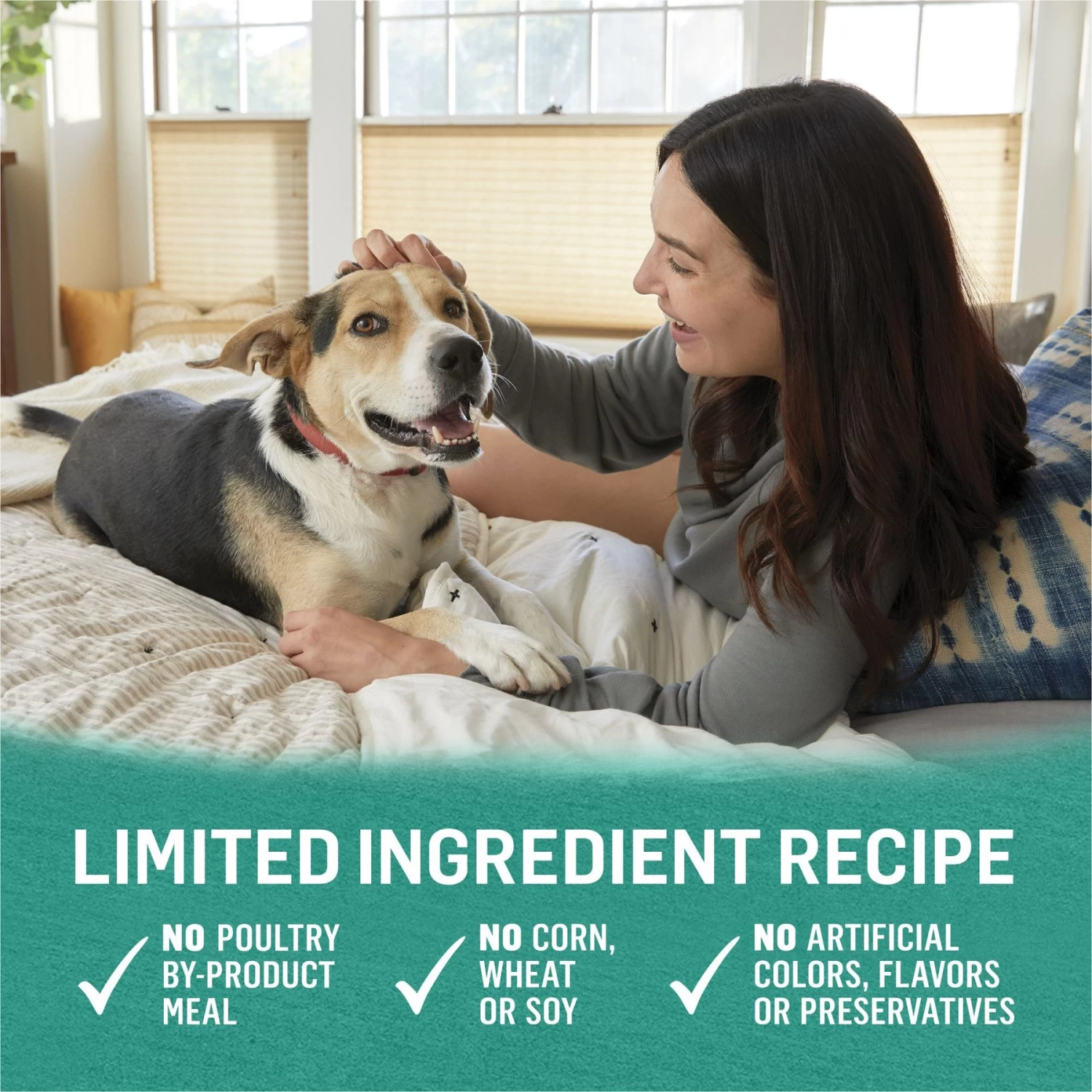 Purina Beyond Alaskan Cod, Salmon & Sweet Potato Grain-Free Canned Dog Food - Image 6