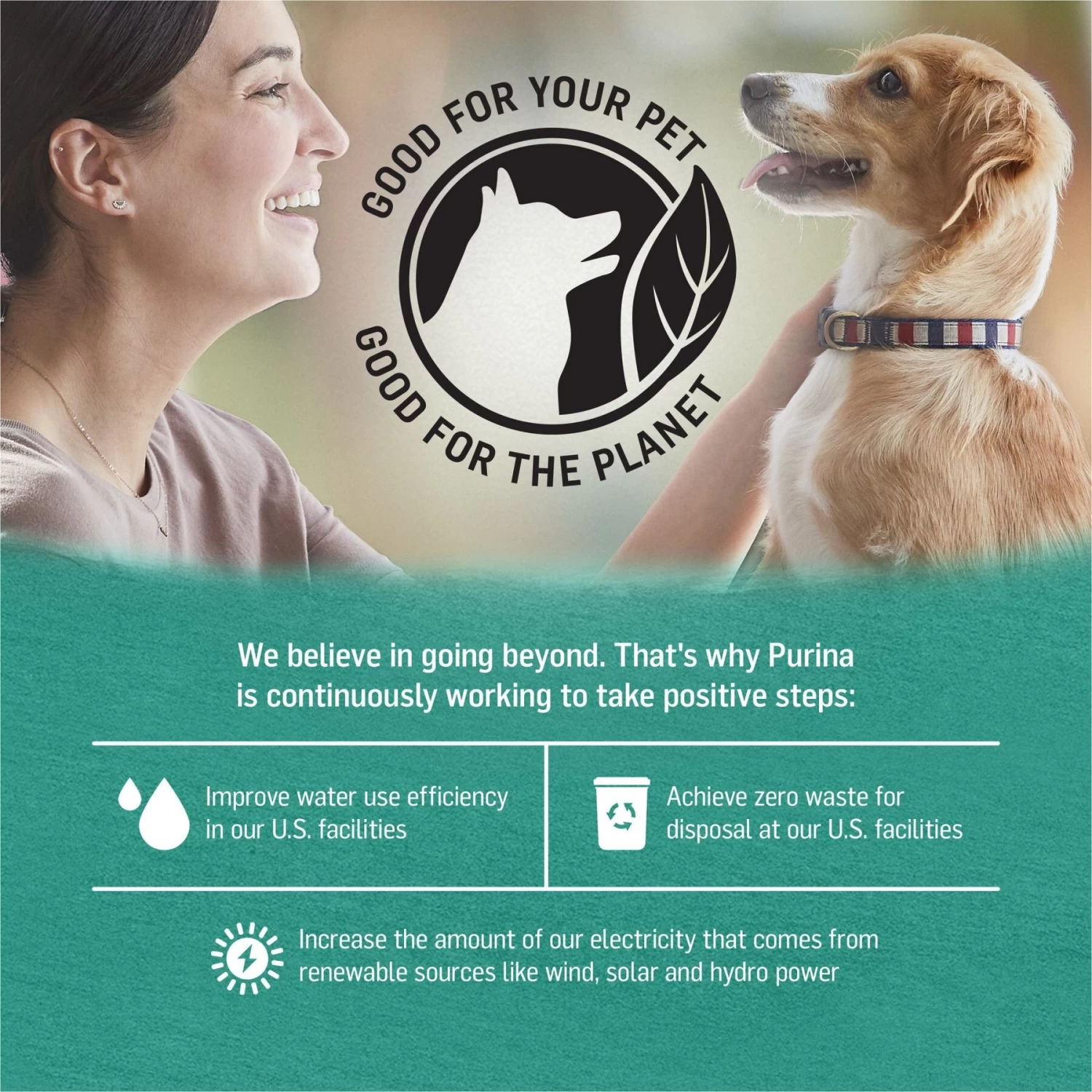 Purina Beyond Alaskan Cod, Salmon & Sweet Potato Grain-Free Canned Dog Food - Image 7