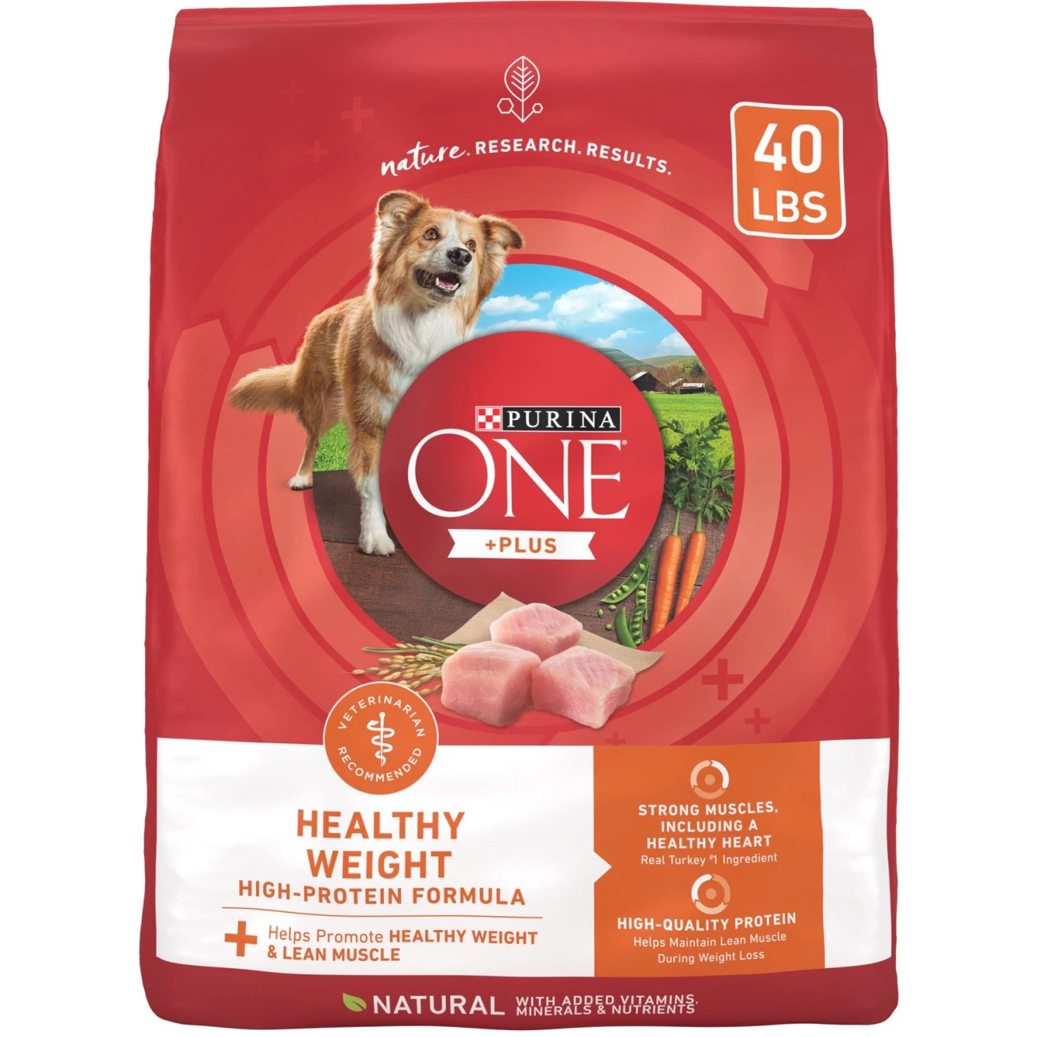 Purina ONE +Plus Adult High-Protein Healthy Weight Formula Dry Dog Food