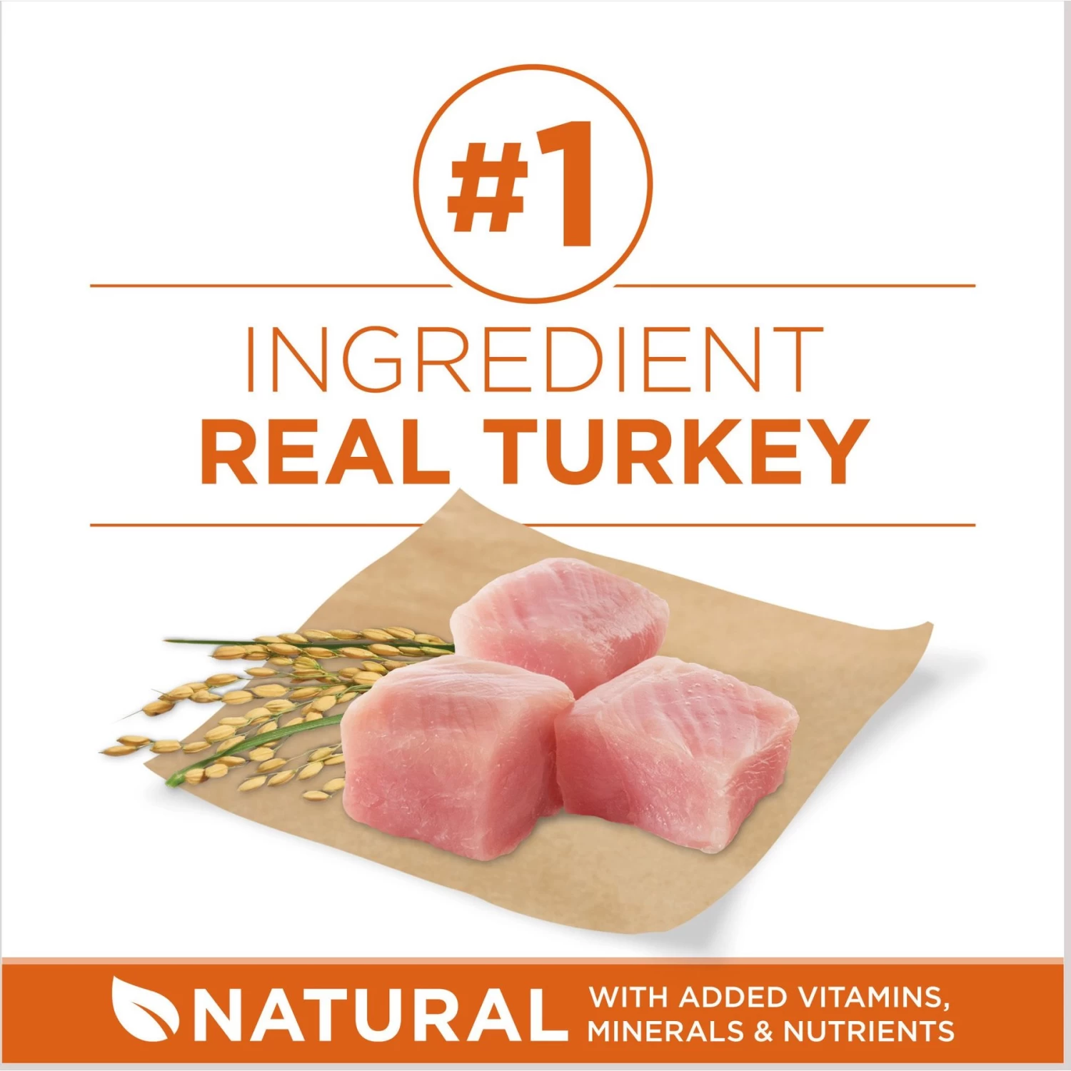 Purina ONE +Plus Adult High-Protein Healthy Weight Formula Dry Dog Food - Image 4