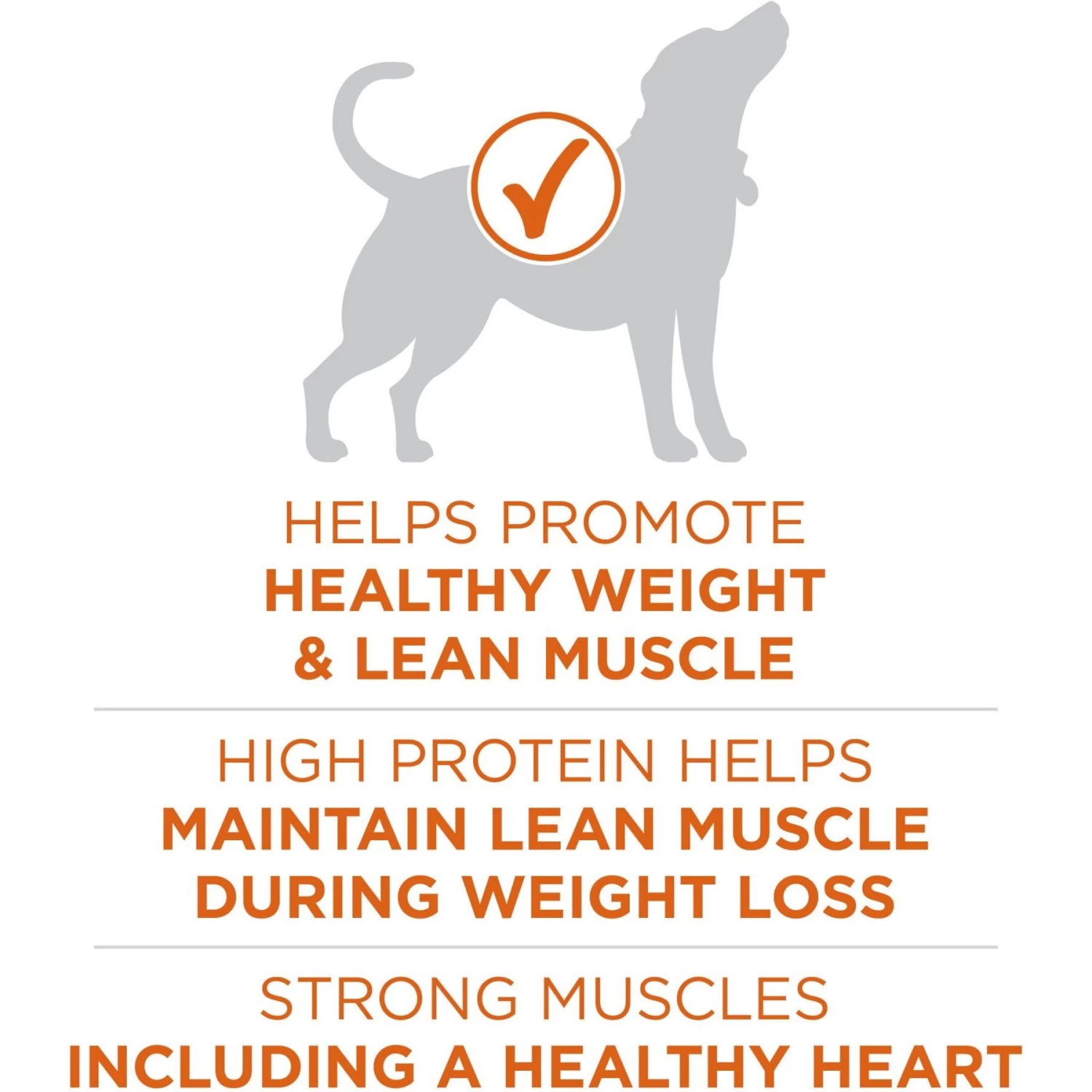 Purina ONE +Plus Adult High-Protein Healthy Weight Formula Dry Dog Food - Image 5