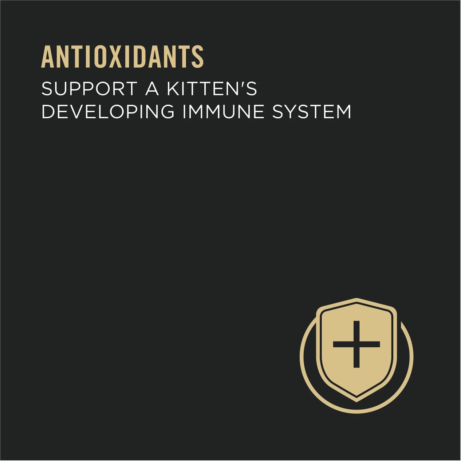 Purina Pro Plan Classic Salmon & Tuna Grain-Free Kitten Entree Canned Cat Food - Image 4