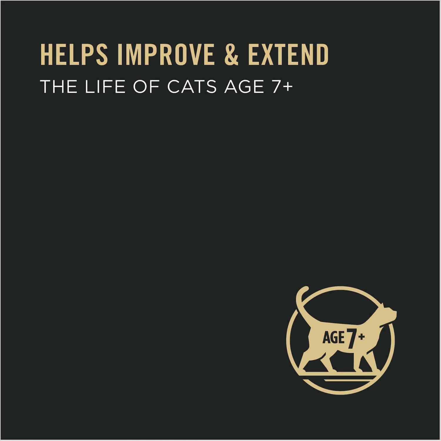 Purina Pro Plan Prime Plus 7+ Classic Chicken Grain-Free Entree Canned Cat Food - Image 4