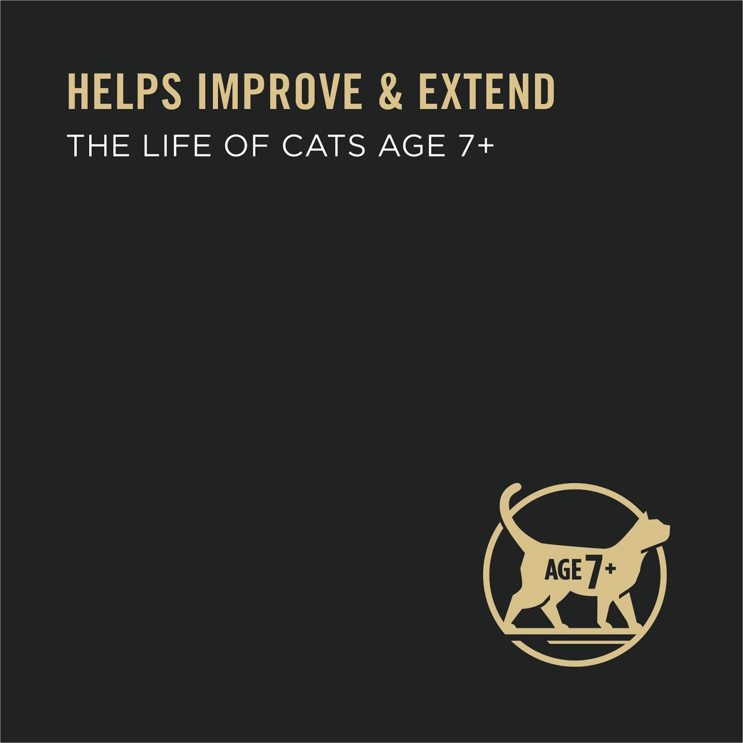 Purina Pro Plan Senior Adult 7+ Seafood Favorites Pate Variety Pack Canned Cat Food - Image 5