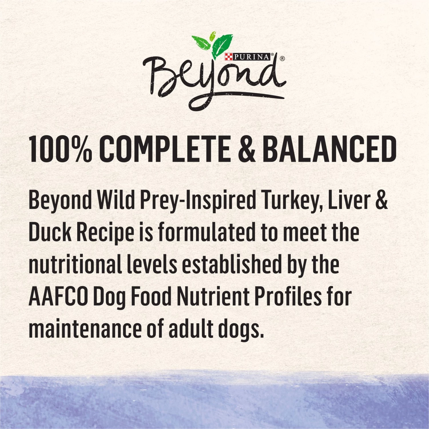 Purina Beyond Wild Prey-Inspired Grain-Free High Protein Turkey, Liver & Duck Pate Recipe Canned Dog Food - Image 6