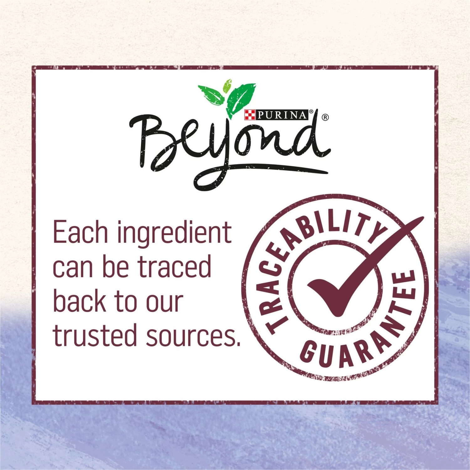 Purina Beyond Wild Prey-Inspired Grain-Free High Protein Turkey, Liver & Duck Pate Recipe Canned Dog Food - Image 7