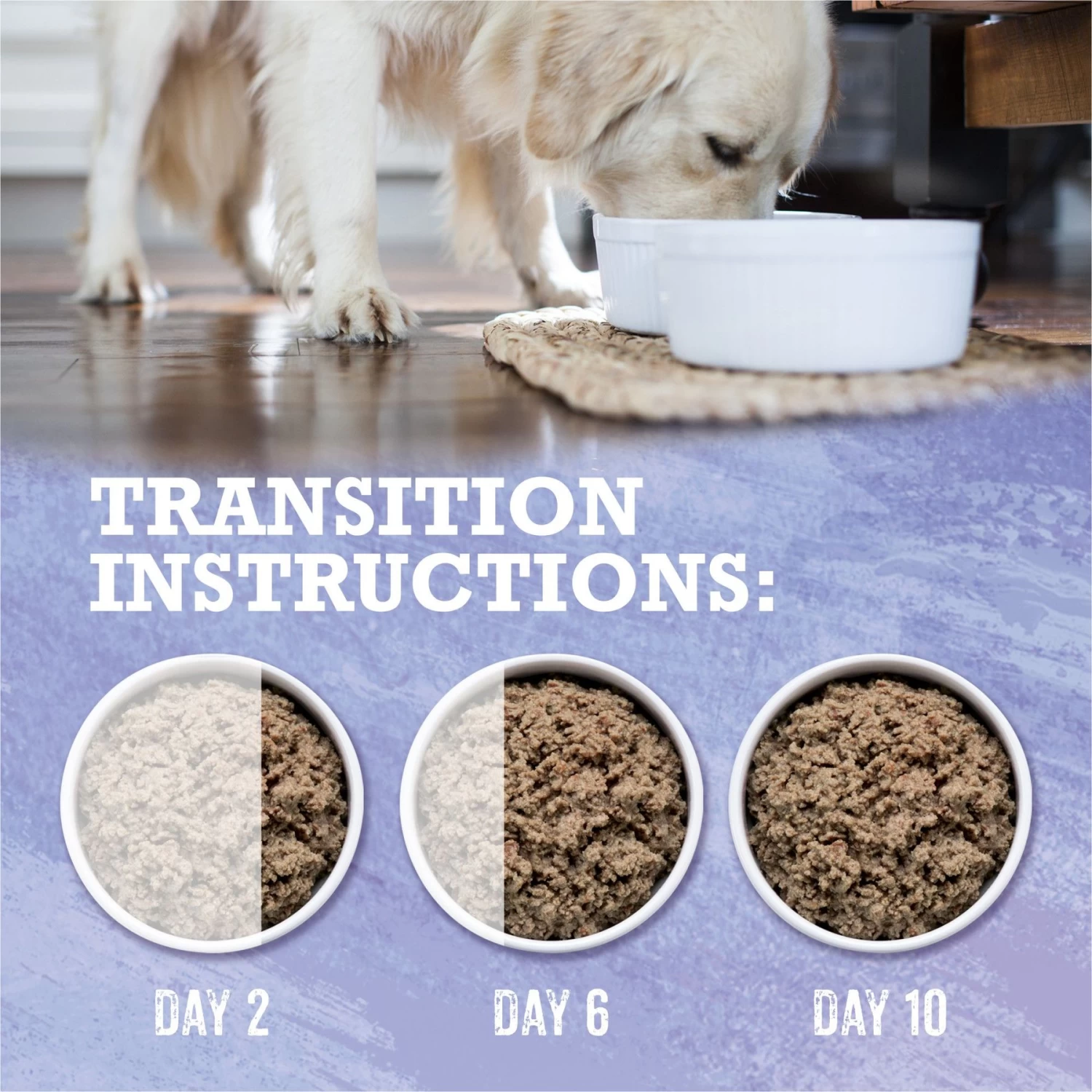 Purina Beyond Wild Prey-Inspired Grain-Free High Protein Turkey, Liver & Duck Pate Recipe Canned Dog Food - Image 9