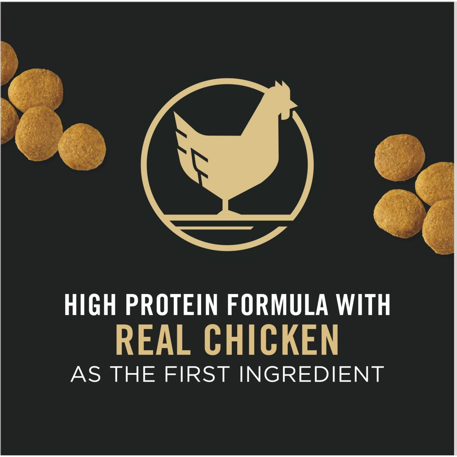 Purina Pro Plan Adult Large Breed Chicken & Rice Formula Dry Dog Food - Image 3