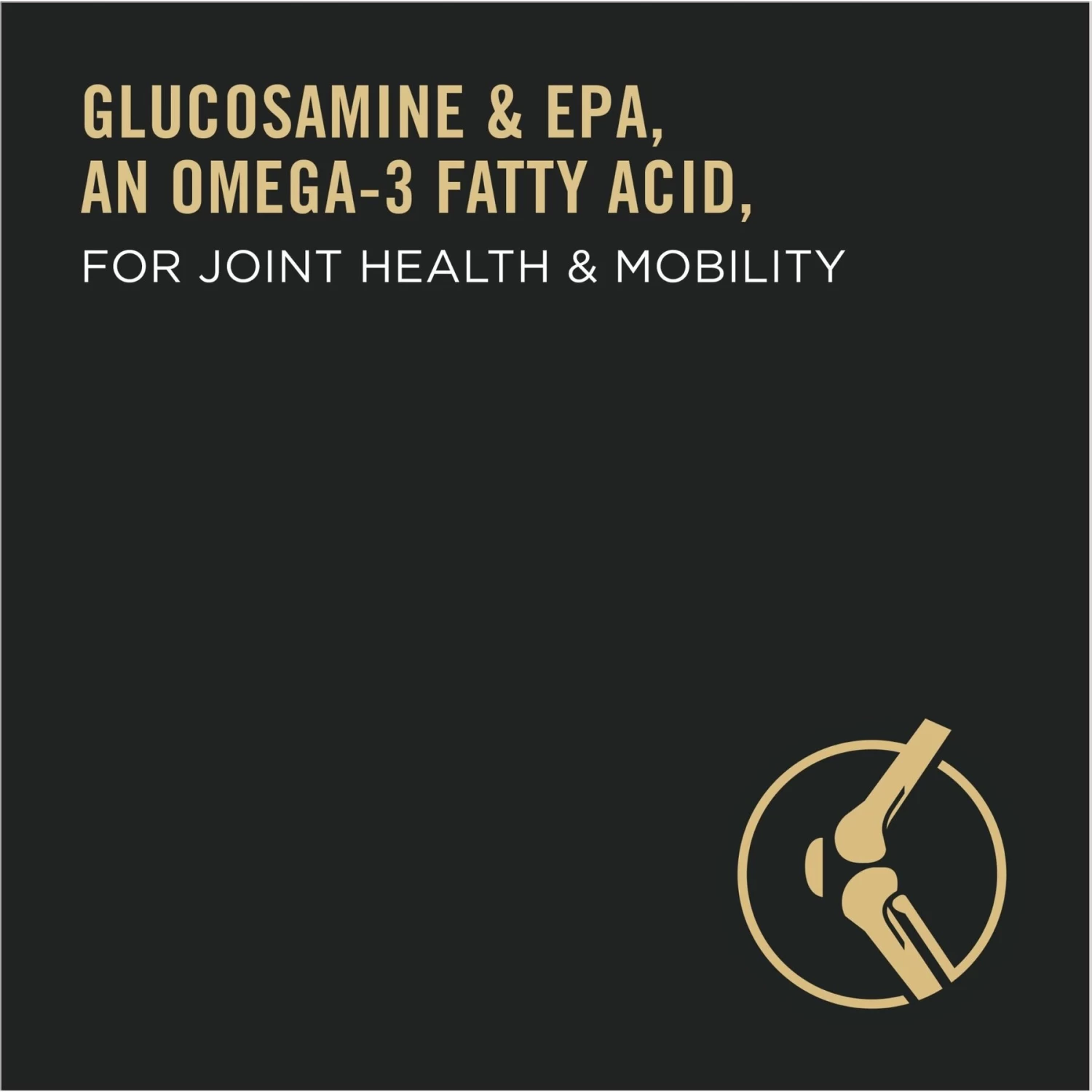 Purina Pro Plan Adult Large Breed Chicken & Rice Formula Dry Dog Food - Image 4