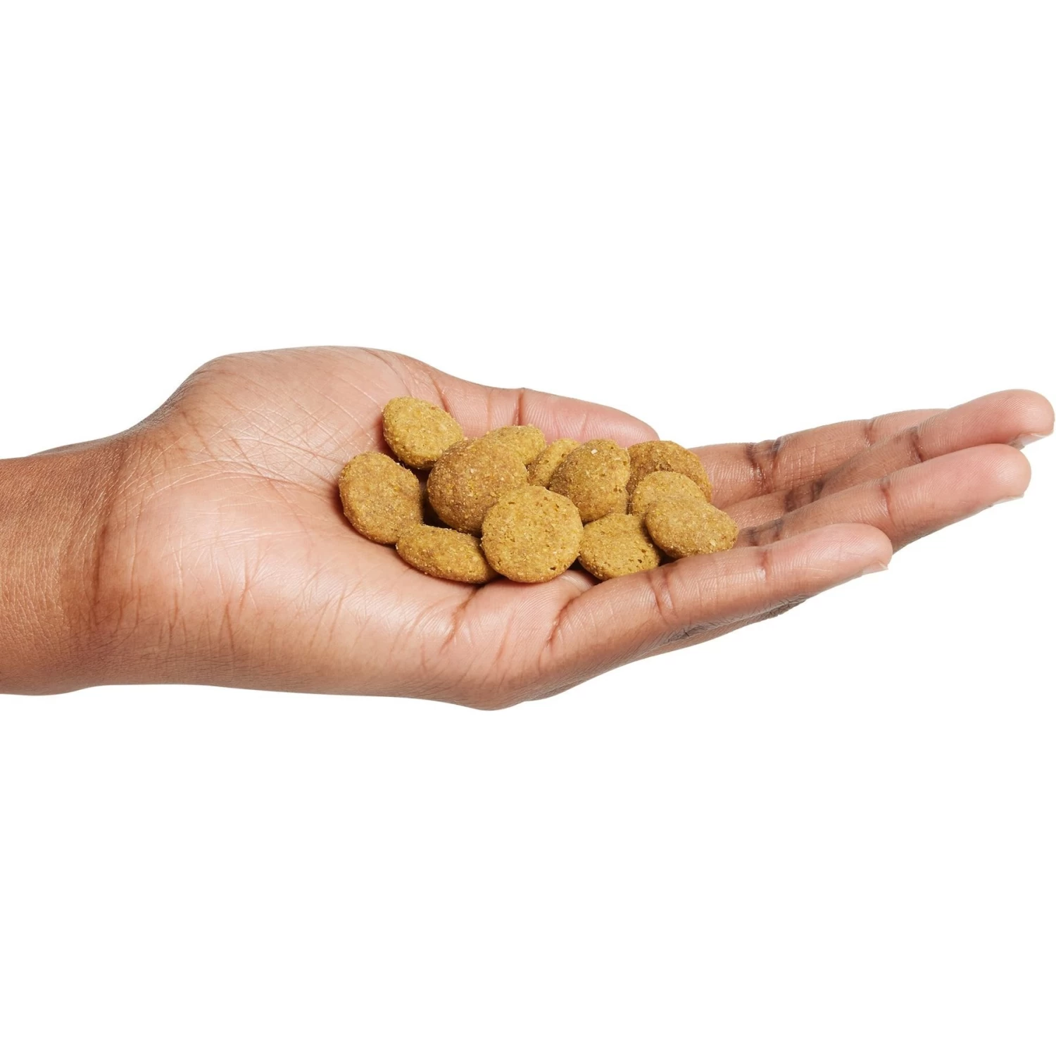 Purina Pro Plan Adult Large Breed Chicken & Rice Formula Dry Dog Food - Image 5