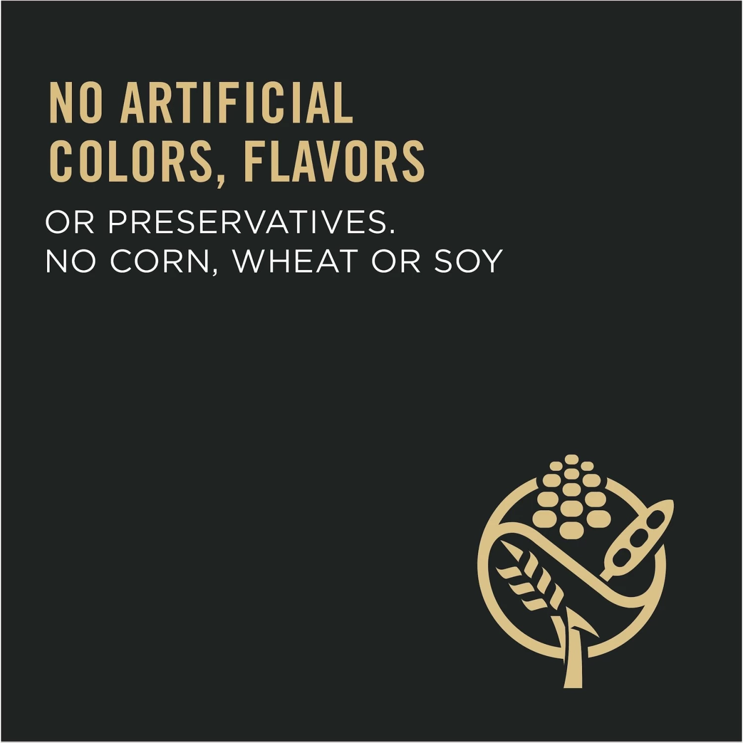 Purina Pro Plan Sensitive Skin & Stomach Turkey & Oat Meal Formula Dry Cat Food - Image 8