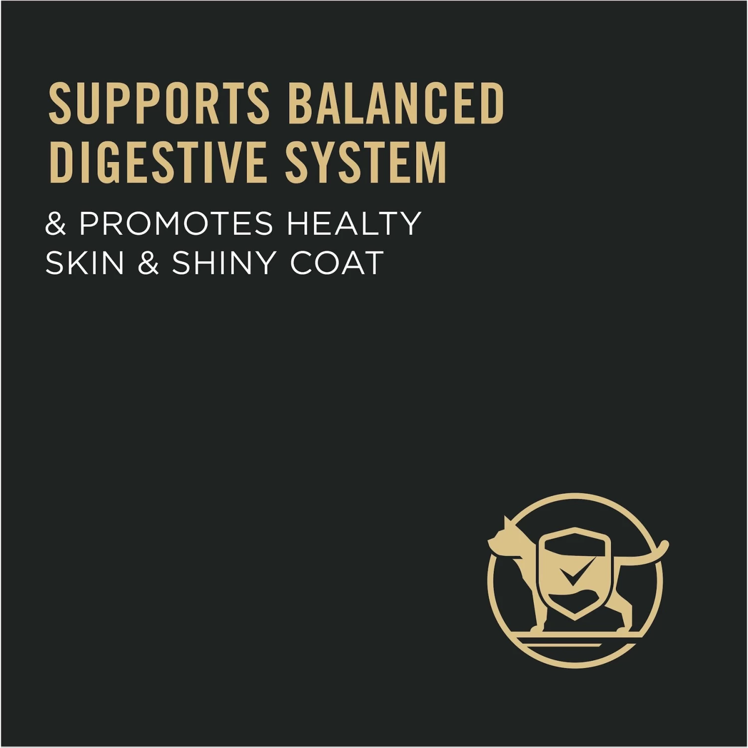 Purina Pro Plan Sensitive Skin & Stomach Turkey & Oat Meal Formula Dry Cat Food - Image 9