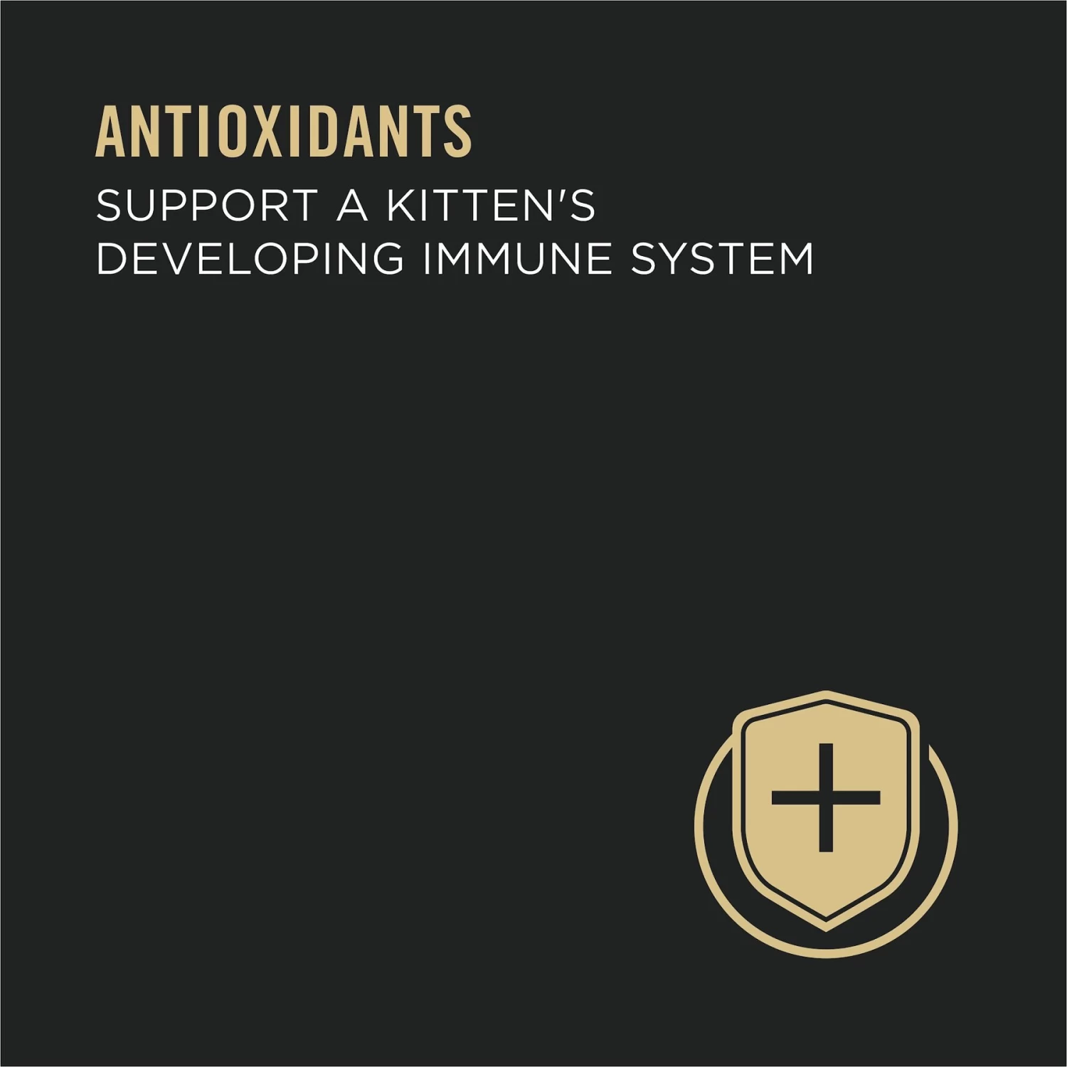 Purina Pro Plan Focus Kitten Favorites Variety Pack Canned Cat Food - Image 6