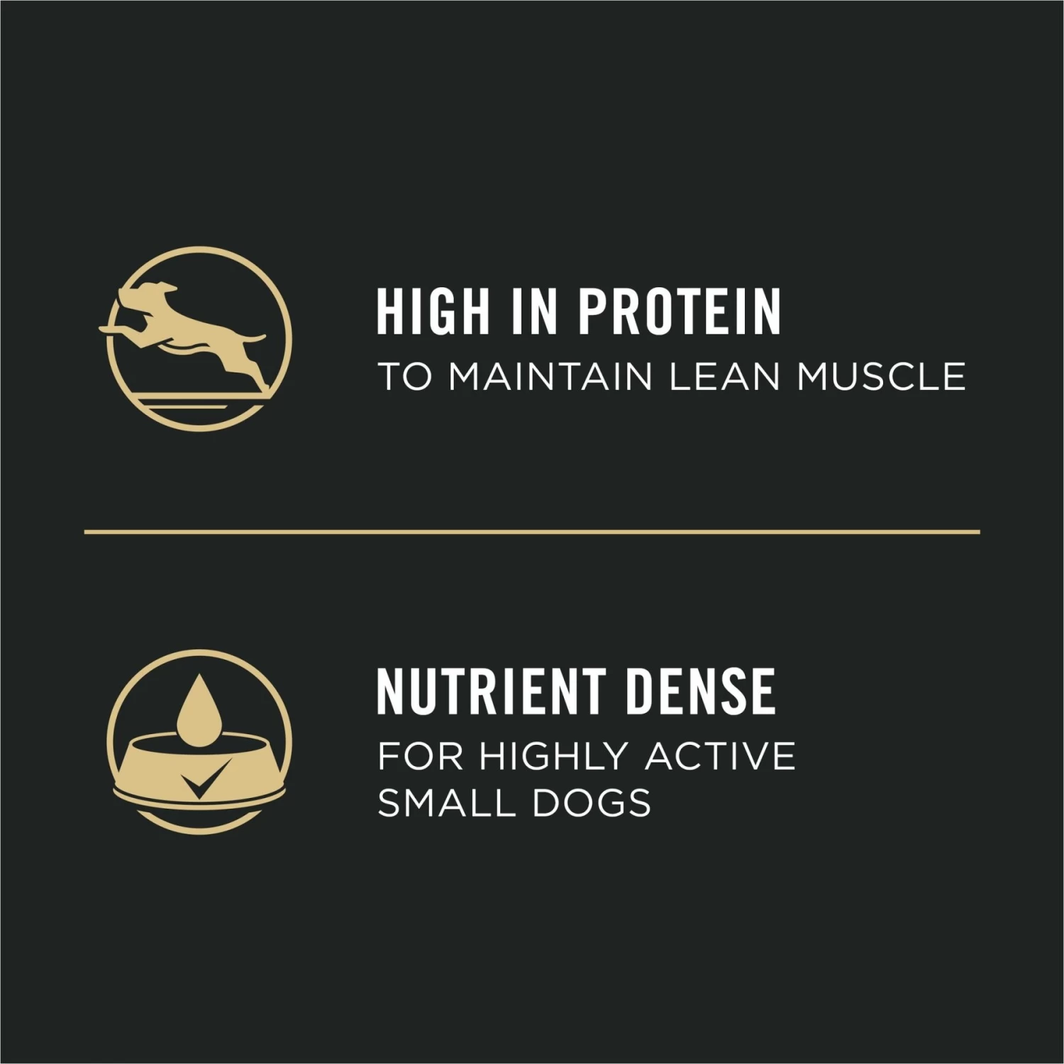 Purina Pro Plan Focus Small Breed Turkey Entree Grain-Free Wet Dog Food - Image 3