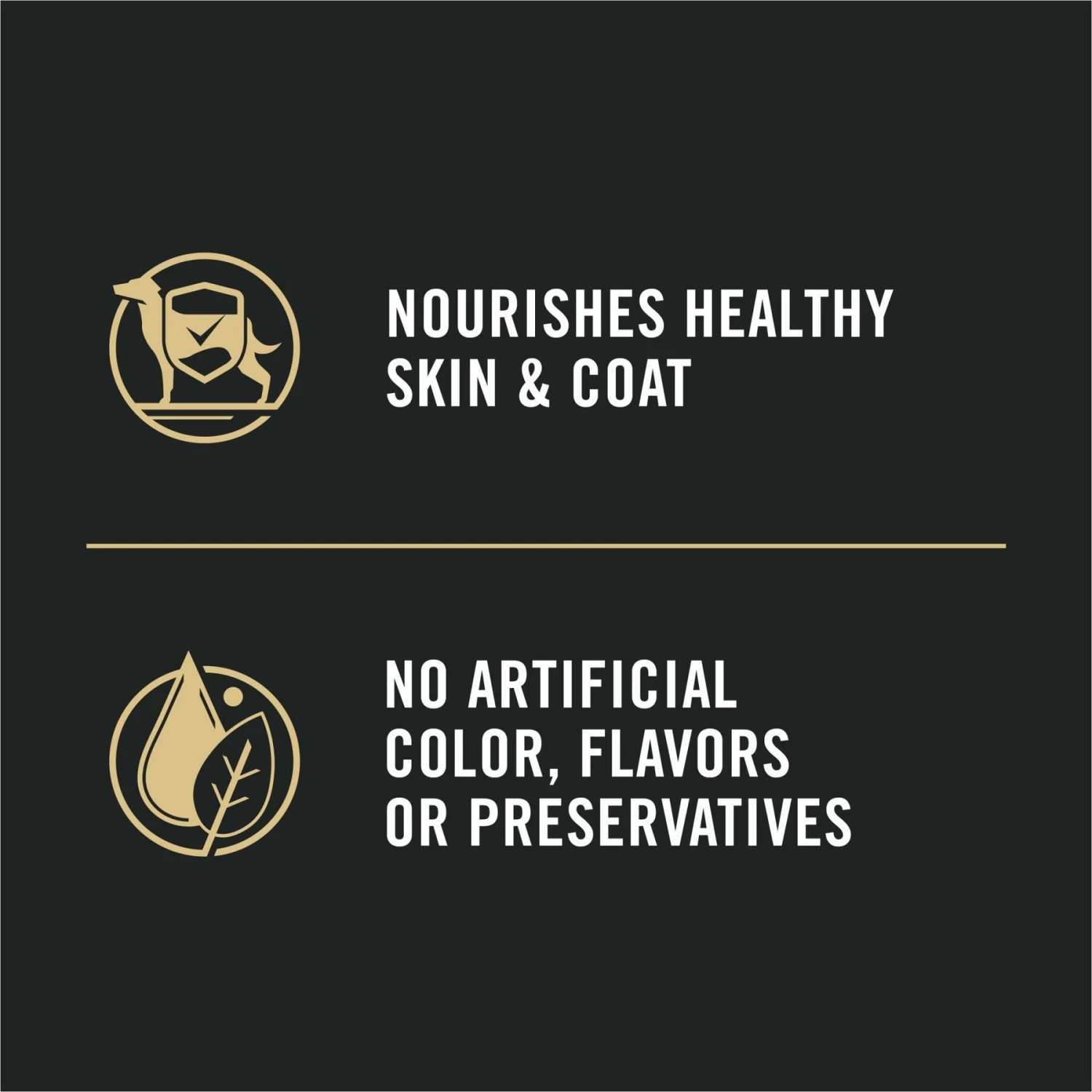 Purina Pro Plan Focus Small Breed Turkey Entree Grain-Free Wet Dog Food - Image 6