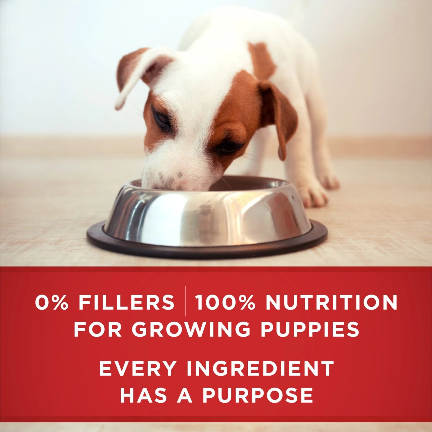 Purina ONE +Plus Classic Ground Healthy Puppy Lamb & Long Grain Rice Entree Canned Dog Food - Image 7