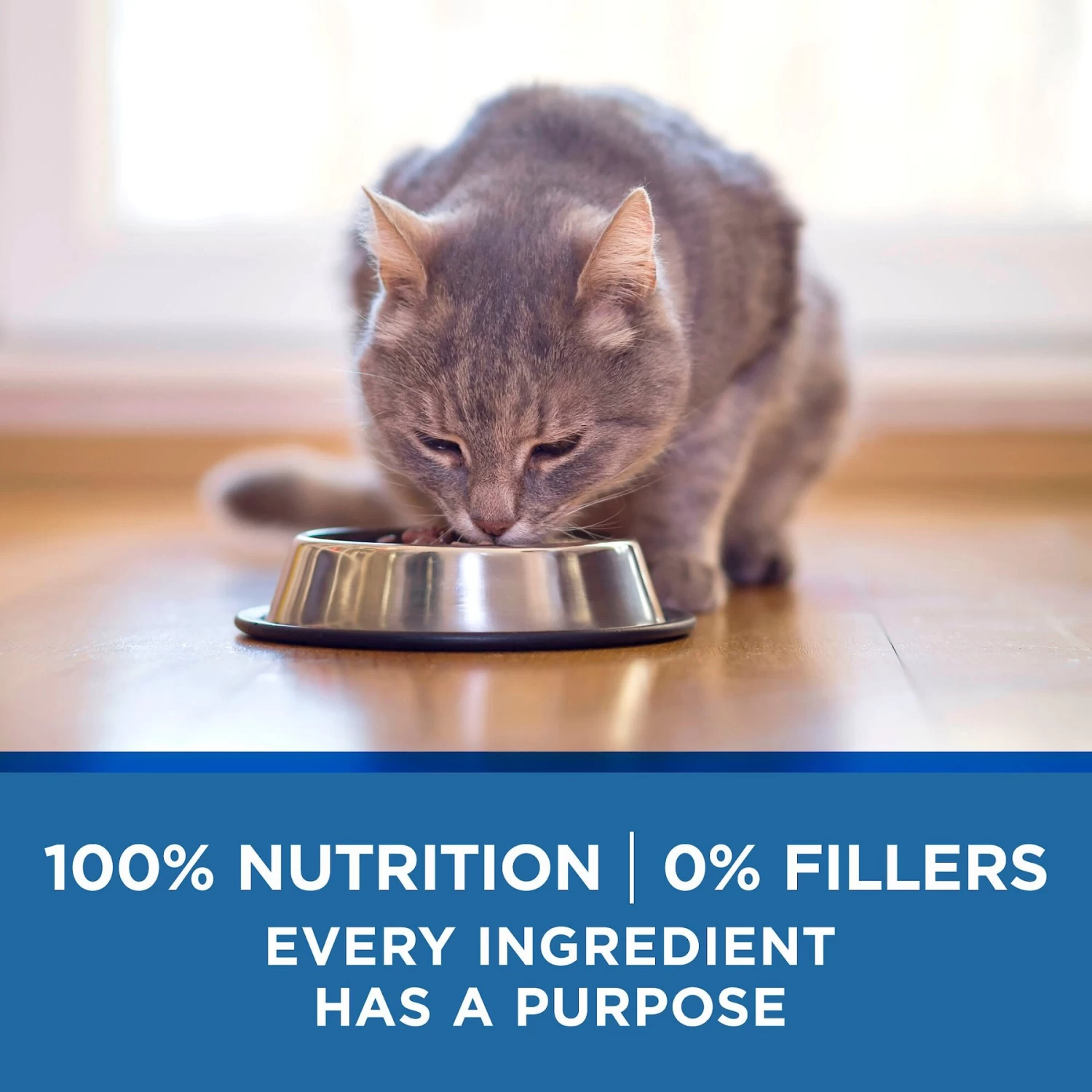 Purina ONE Indoor Advantage 7+ Chicken & Ocean Fish Recipe Pate Wet Cat Food - Image 6