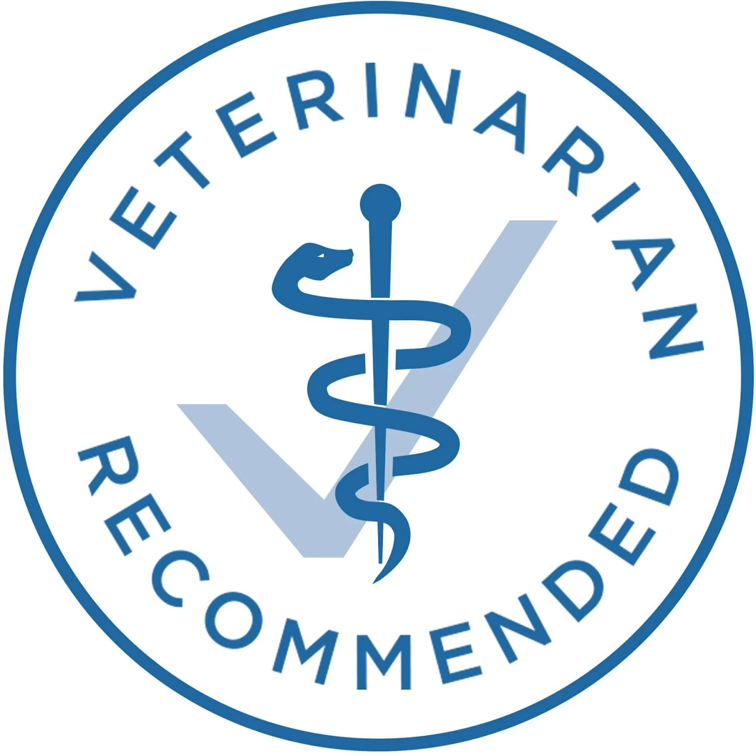 Purina ONE Indoor Advantage 7+ Chicken & Ocean Fish Recipe Pate Wet Cat Food - Image 7