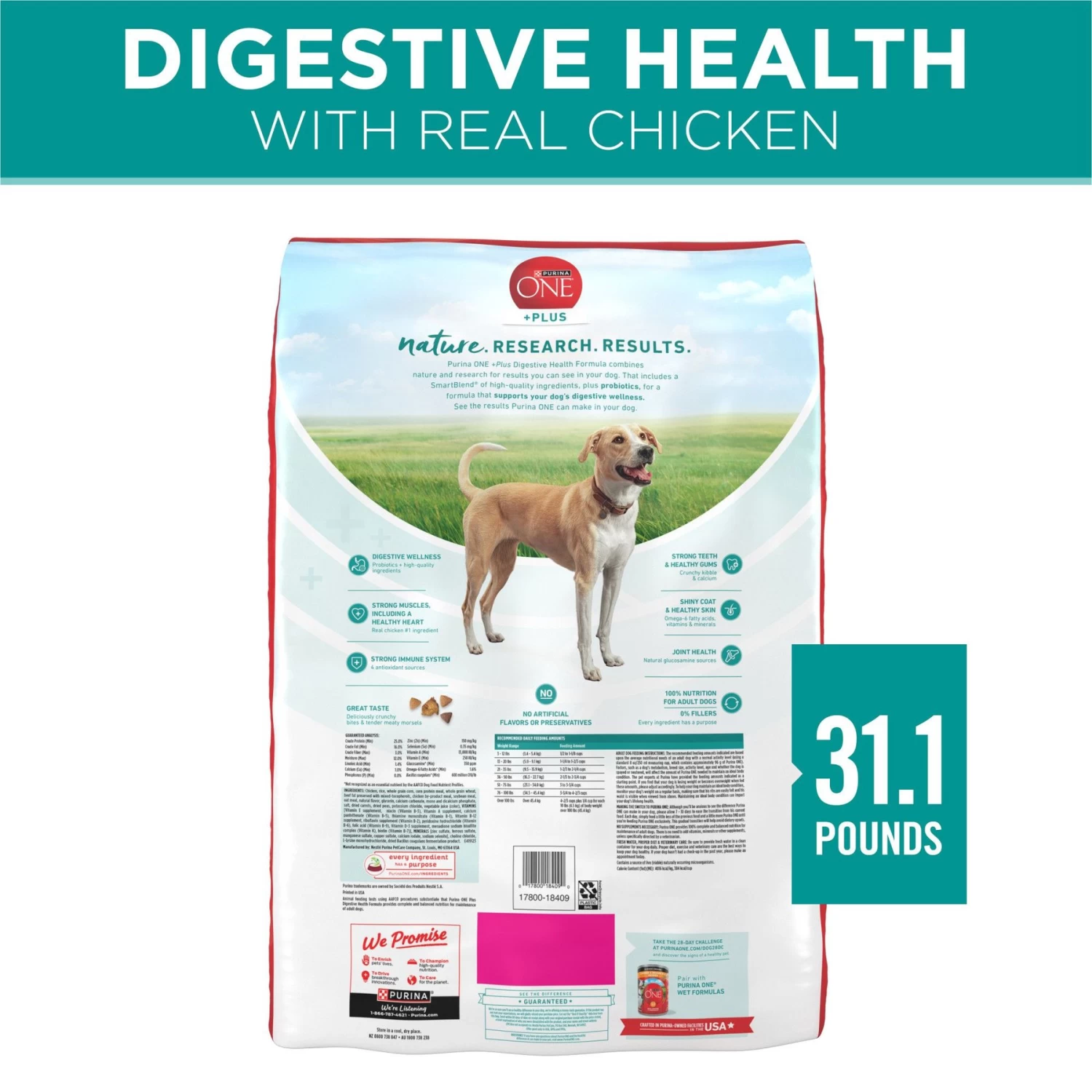 Purina ONE +Plus Adult Digestive Health Formula Dry Dog Food - Image 2