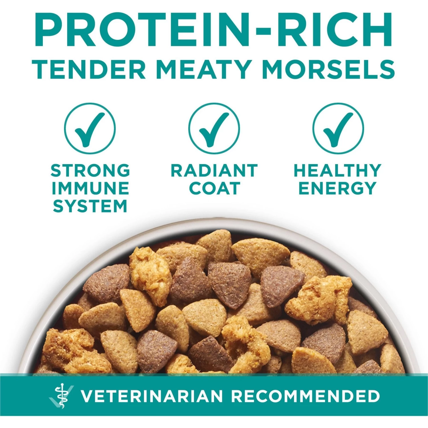 Purina ONE +Plus Adult Digestive Health Formula Dry Dog Food - Image 3